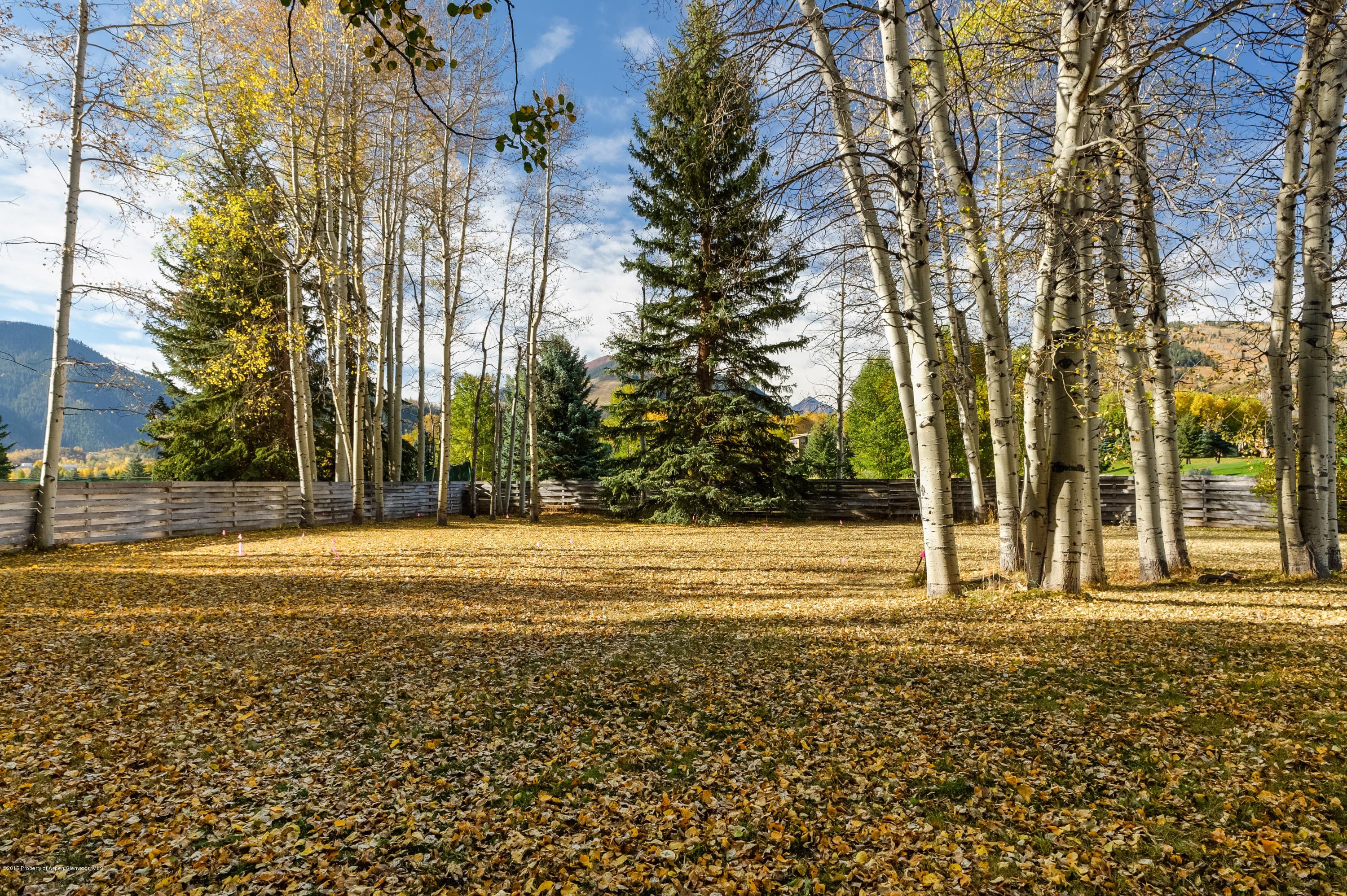 Tbd Sierra Vista Drive, Aspen, CO 81611 - Photo 17