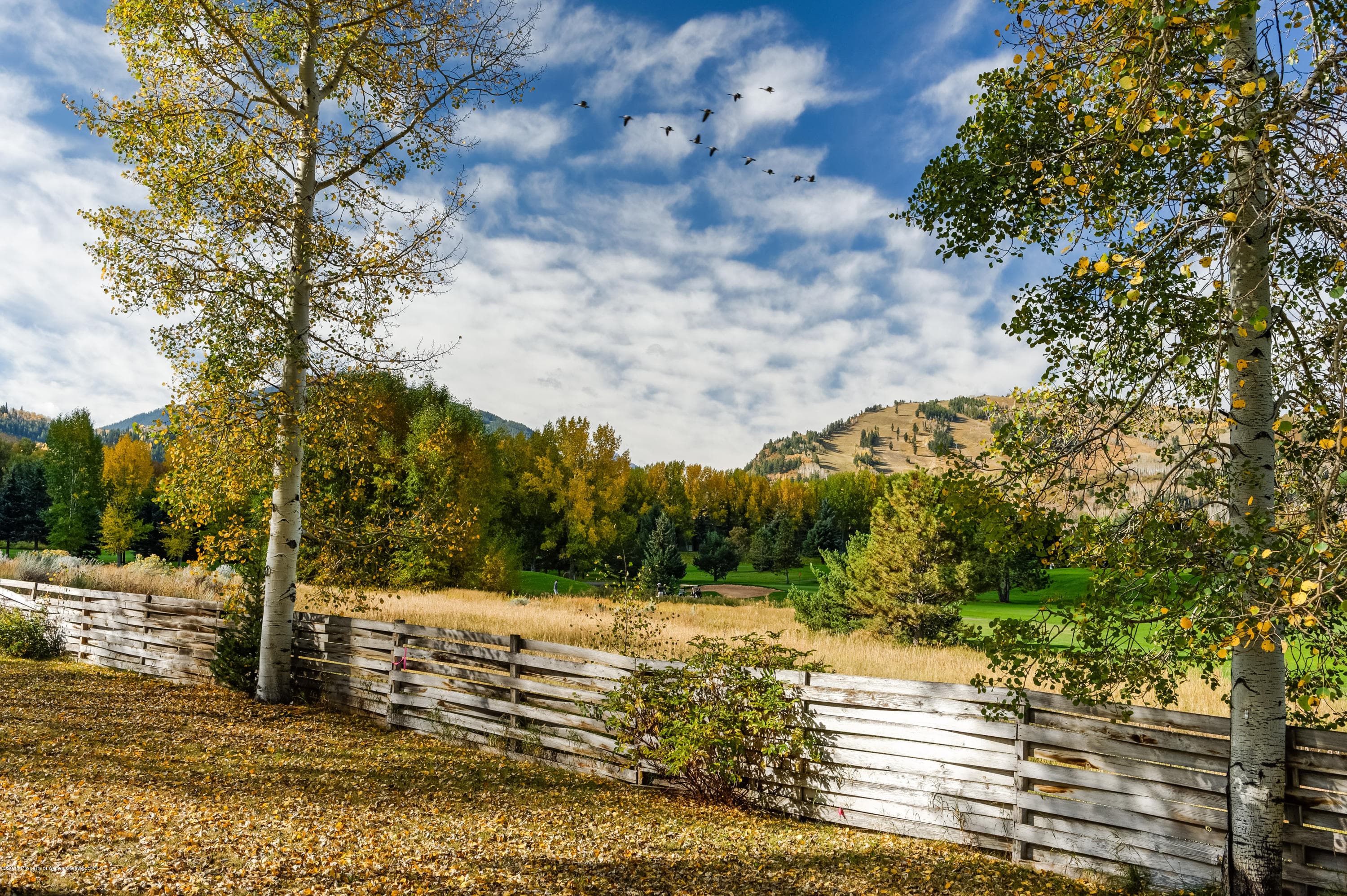 Tbd Sierra Vista Drive, Aspen, CO 81611 - Photo 26