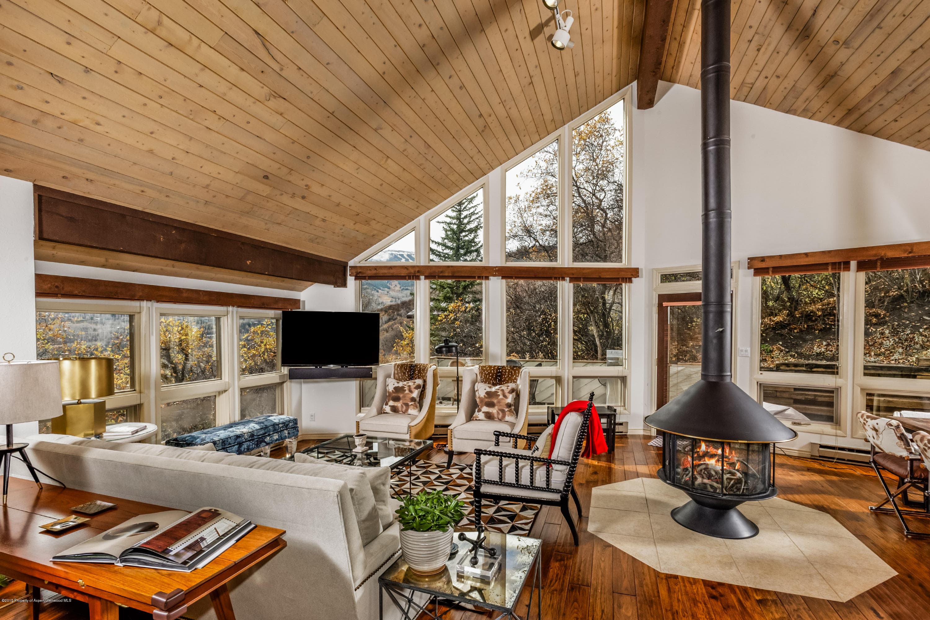 73 Sinclair Lane, Snowmass Village, CO 81615 - Photo 5