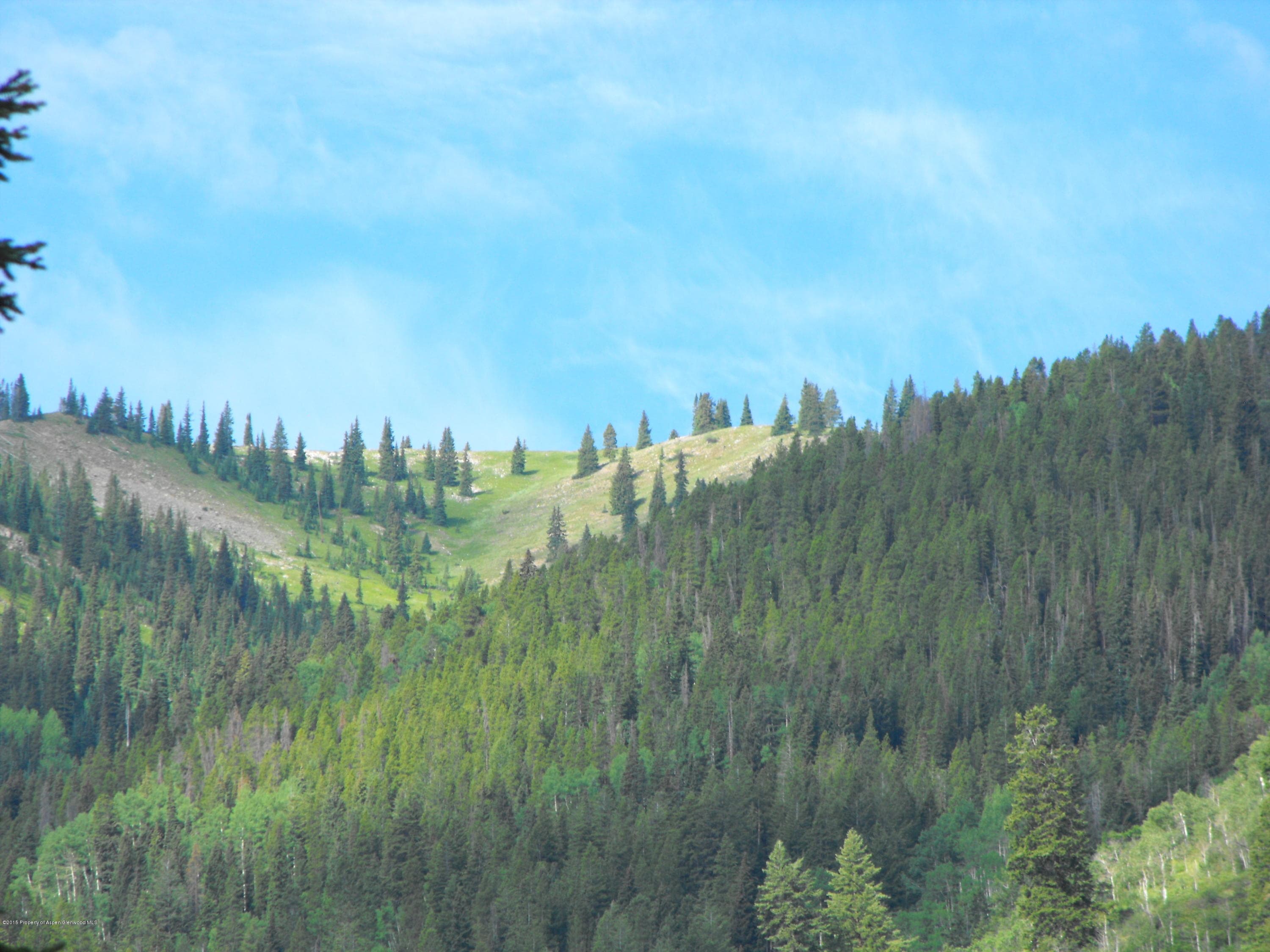 44971 E Highway 82, Aspen, CO 81611 - Photo 15