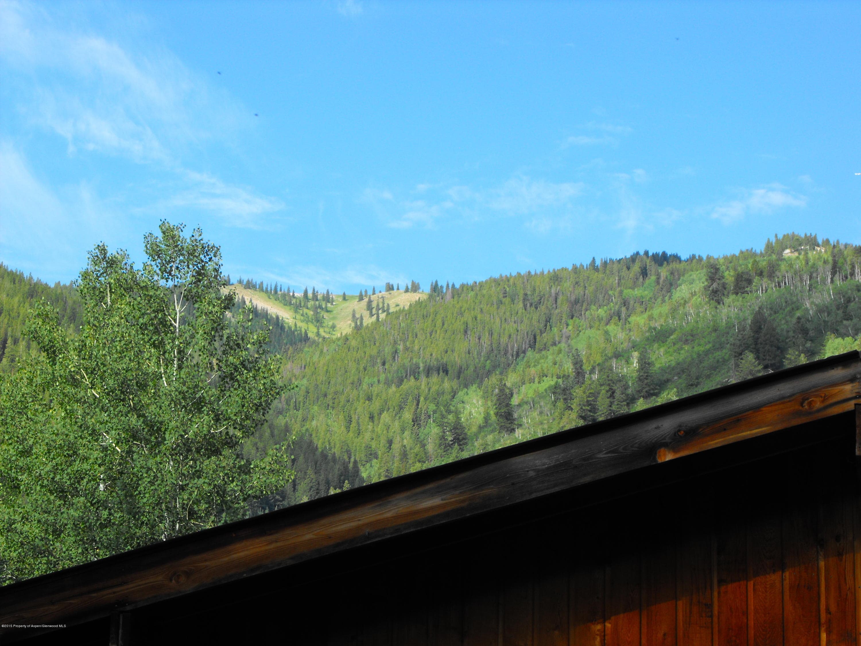 44971 E Highway 82, Aspen, CO 81611 - Photo 16