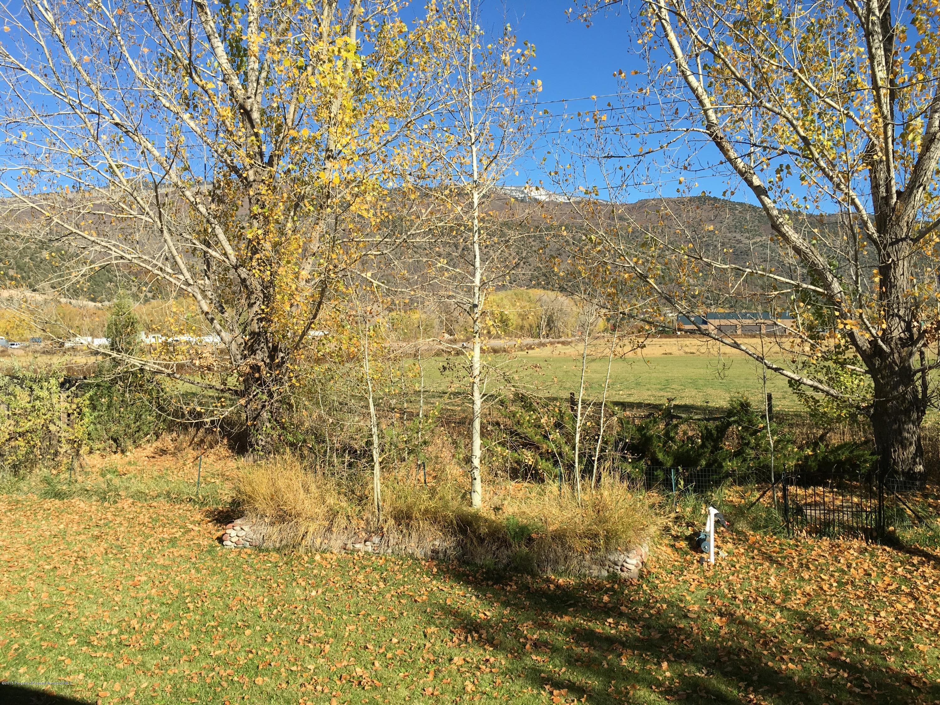 39 Coyote Circle, Carbondale, CO 81623 - Photo 16