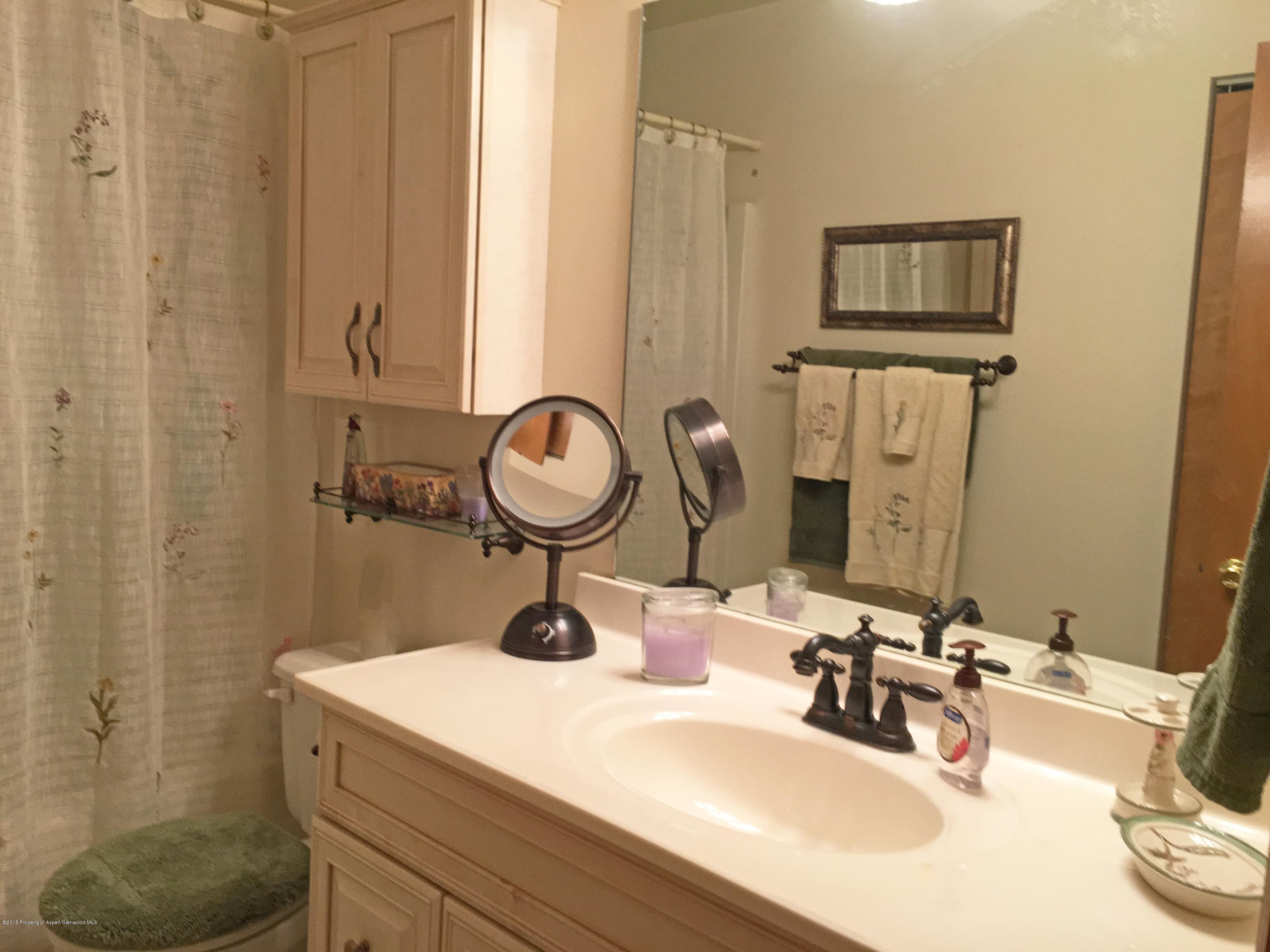 39 Coyote Circle, Carbondale, CO 81623 - Photo 6