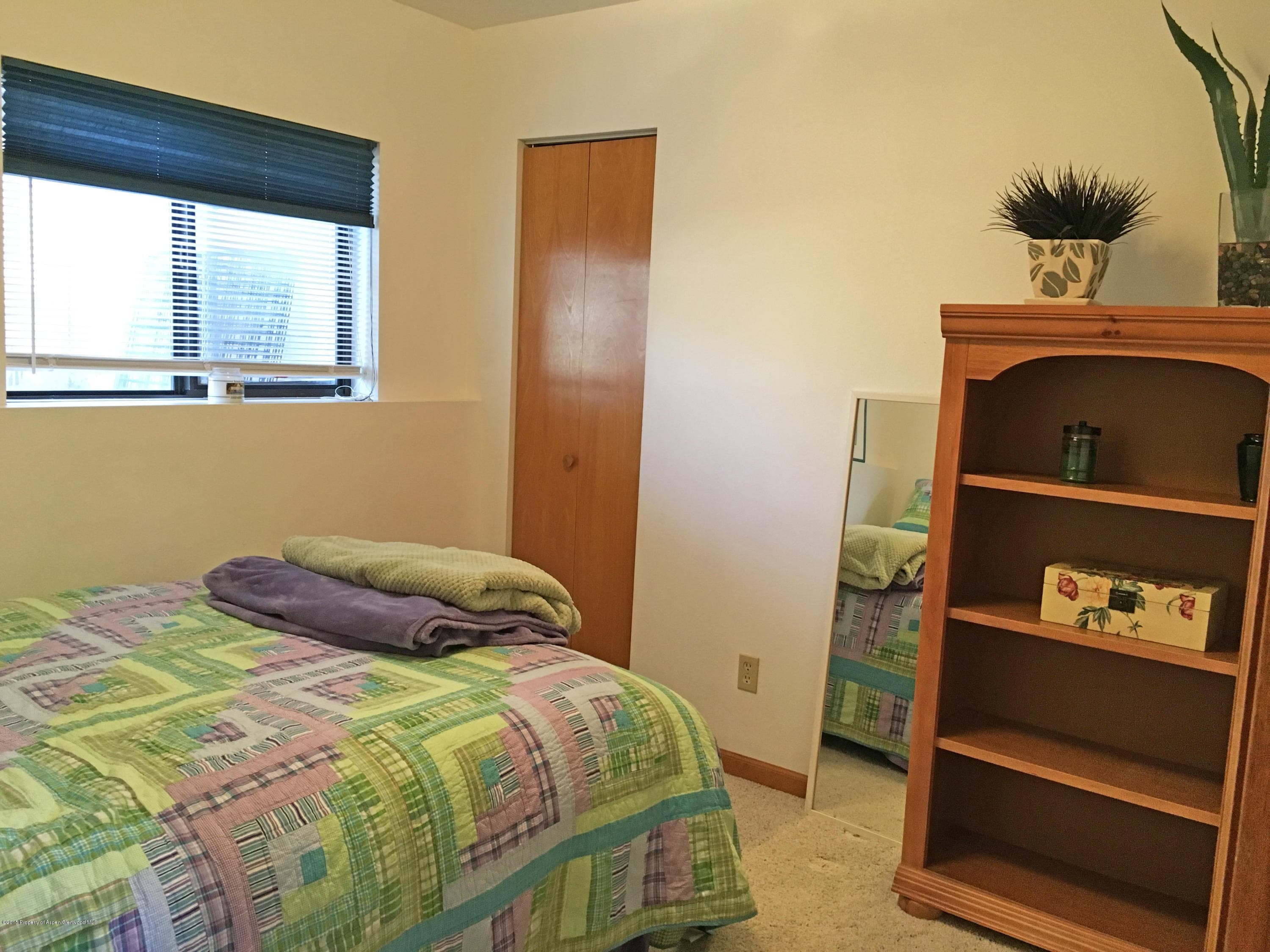 39 Coyote Circle, Carbondale, CO 81623 - Photo 12