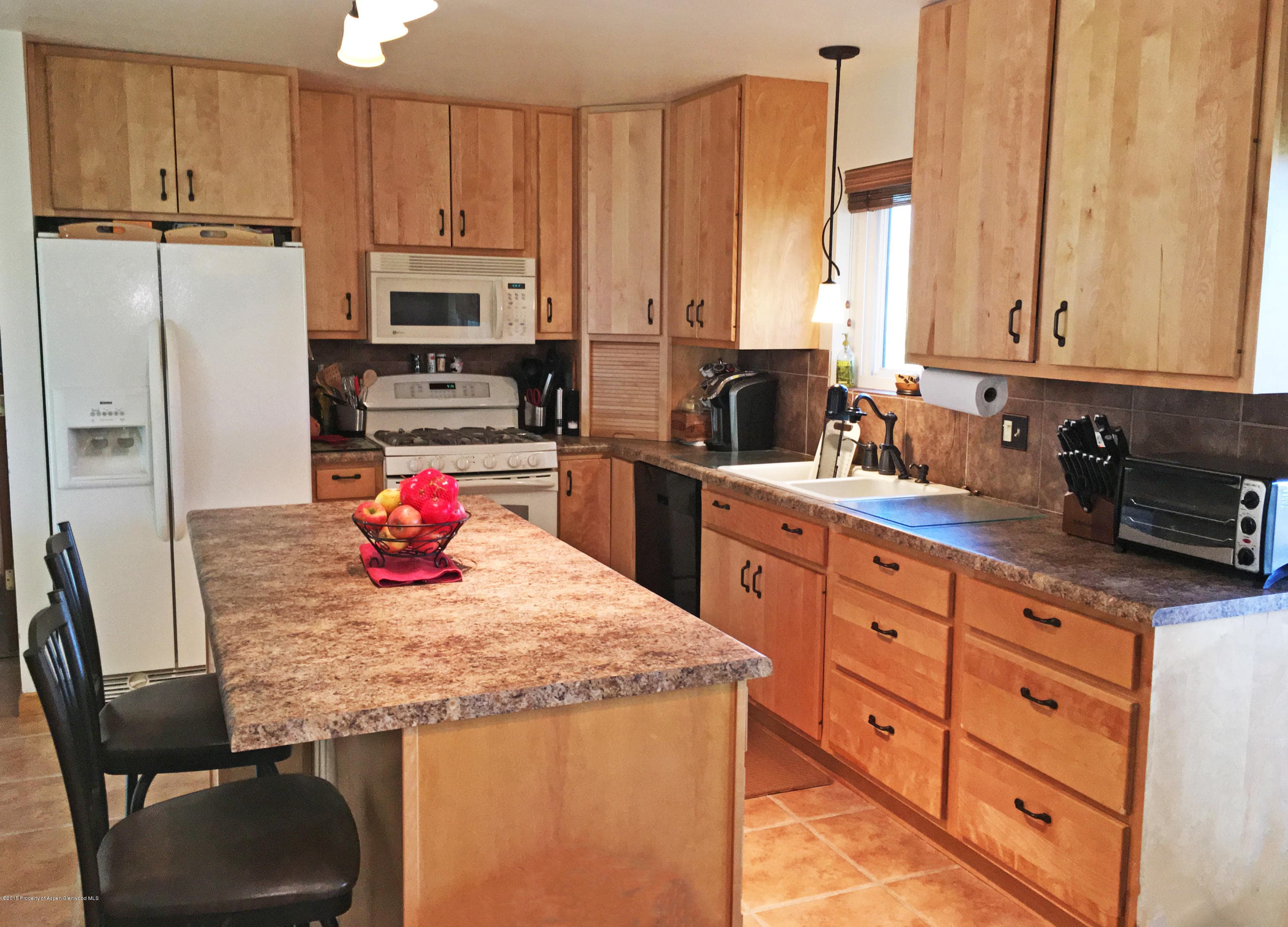 39 Coyote Circle, Carbondale, CO 81623 - Photo 2