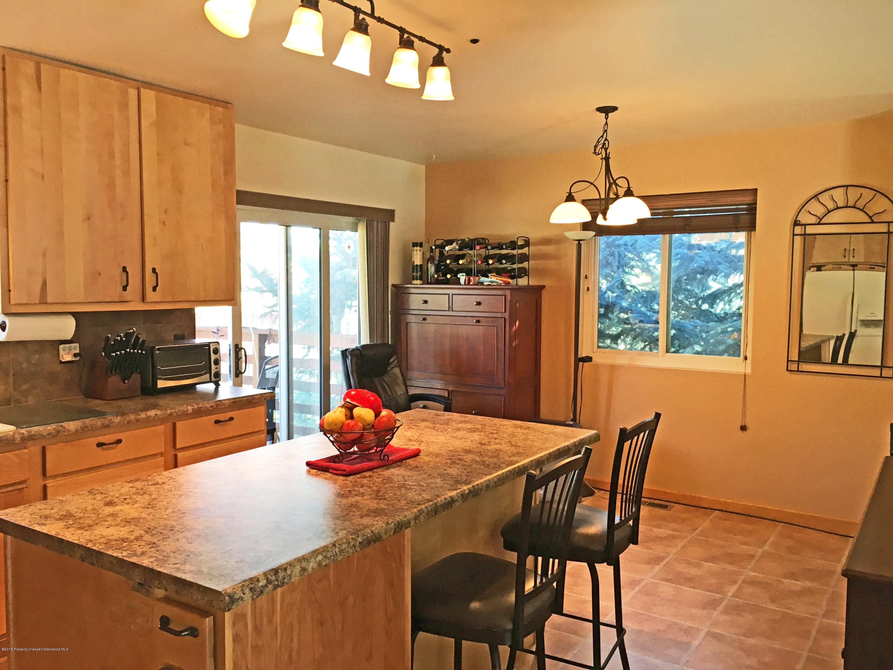 39 Coyote Circle, Carbondale, CO 81623 - Photo 5