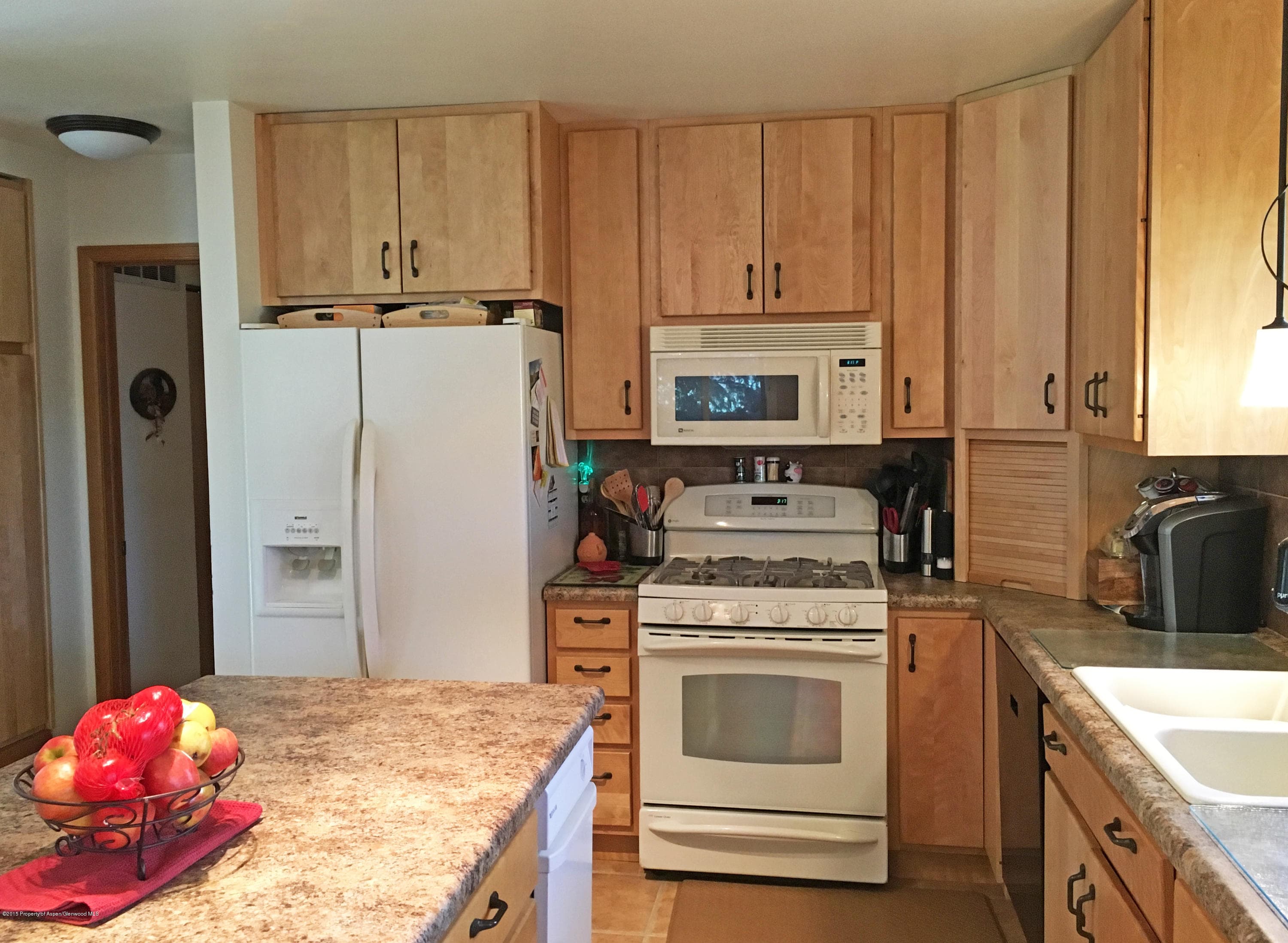 39 Coyote Circle, Carbondale, CO 81623 - Photo 13