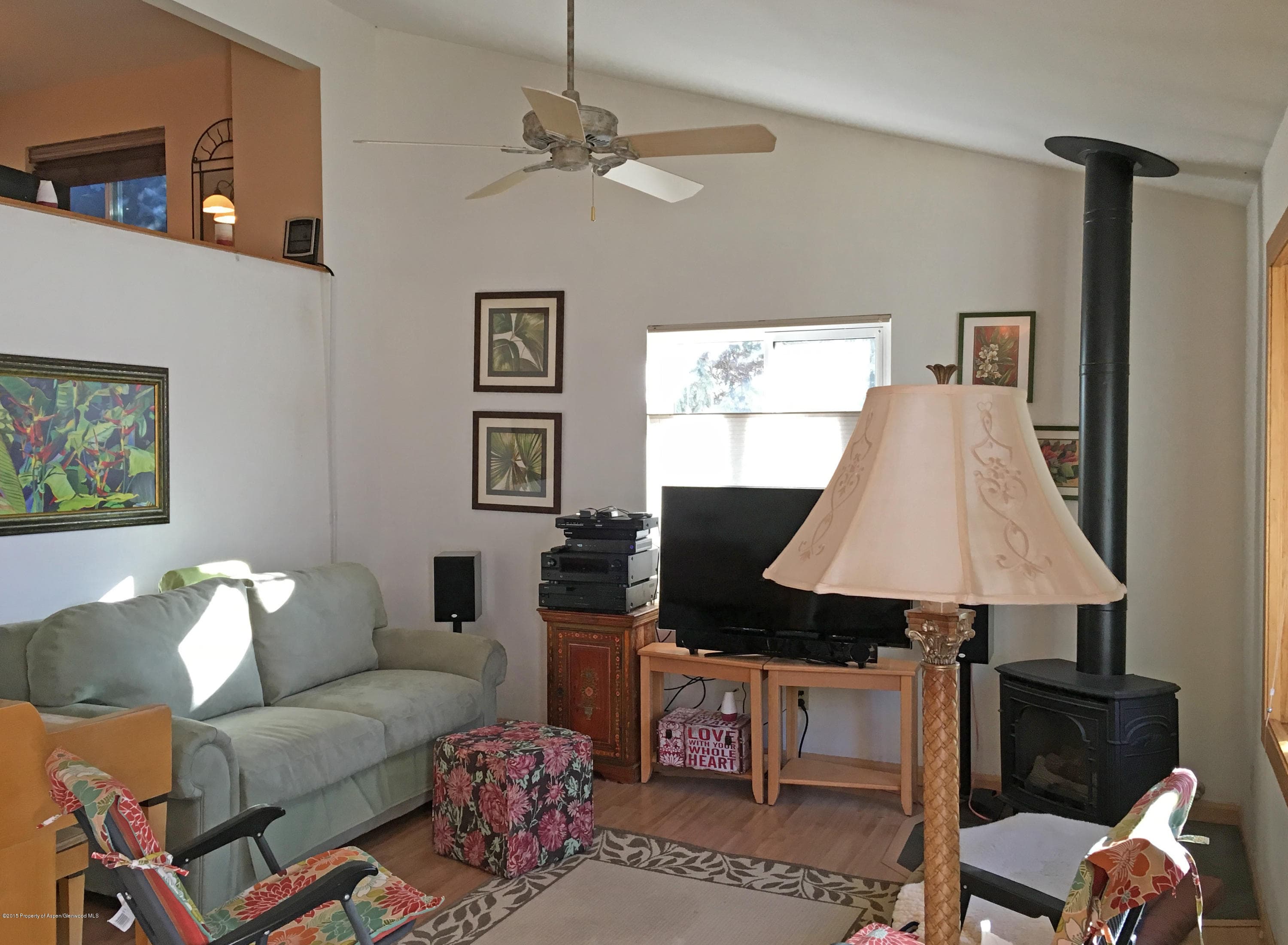39 Coyote Circle, Carbondale, CO 81623 - Photo 3
