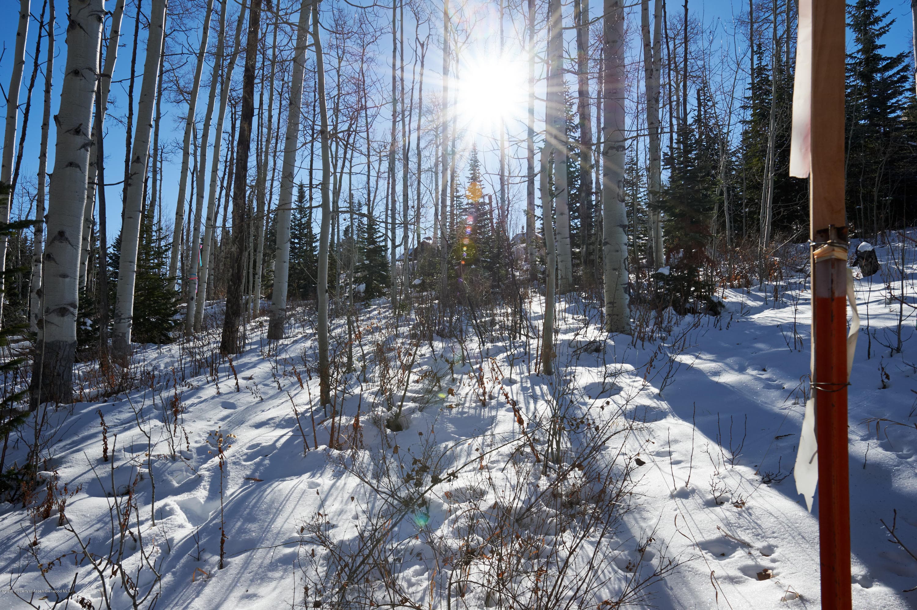 1951 Faraway Road, Snowmass Village, CO 81615 - Photo 3