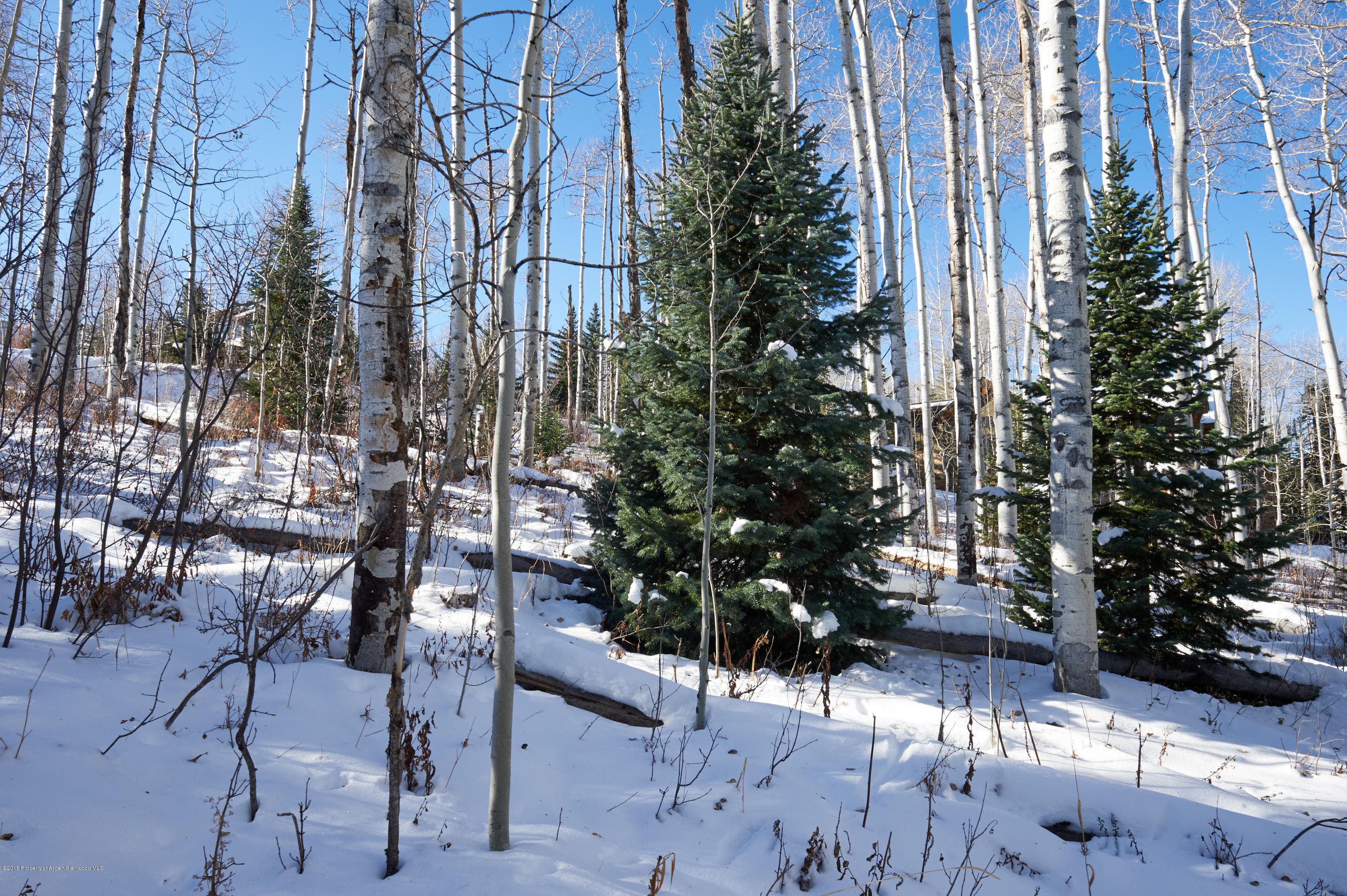 1951 Faraway Road, Snowmass Village, CO 81615 - Photo 4