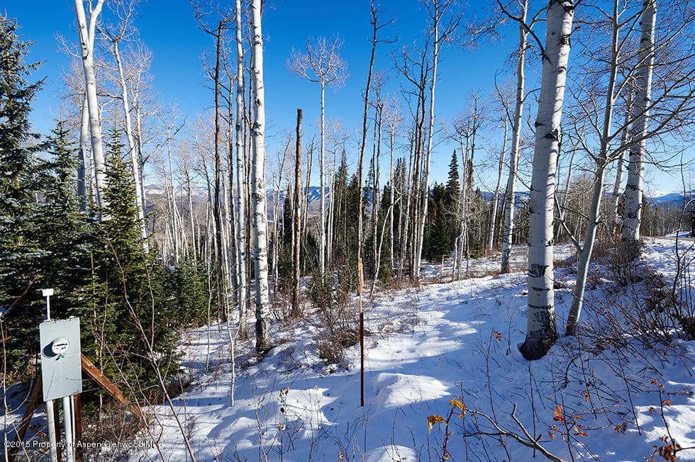 1951 Faraway Road, Snowmass Village, CO 81615 - Photo 6