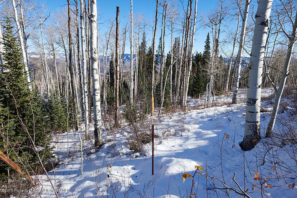 1951 Faraway Road, Snowmass Village, CO 81615 - Photo 12