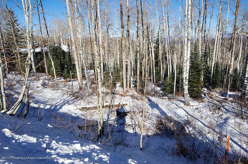 1951 Faraway Road, Snowmass Village, CO 81615 - Photo 7