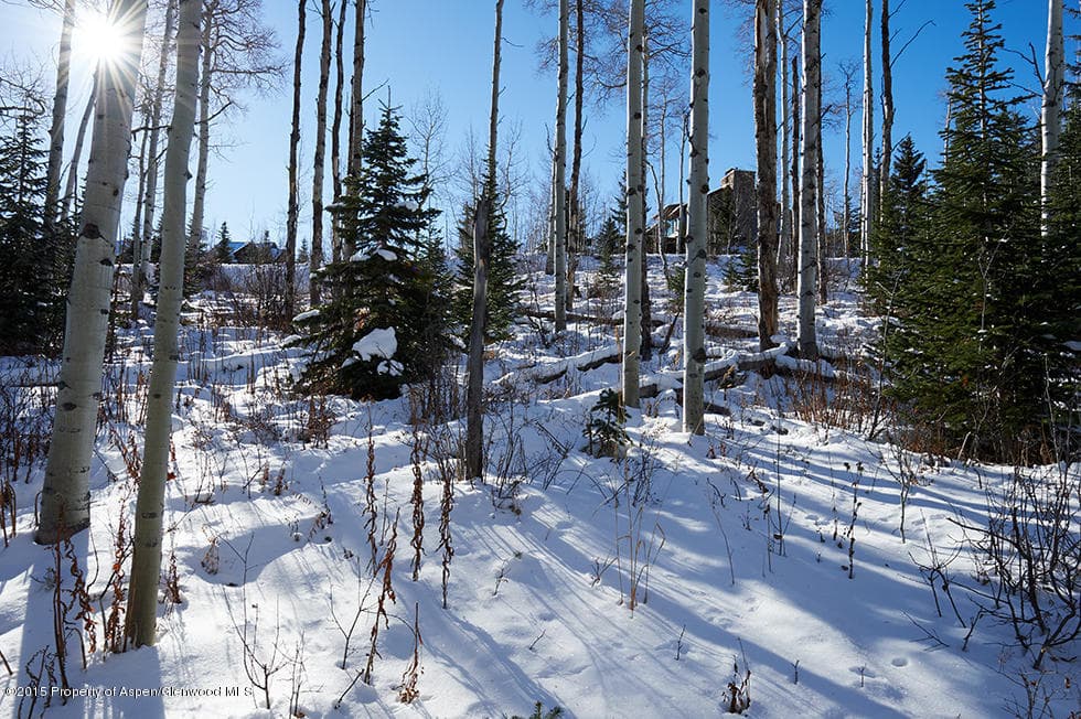 1951 Faraway Road, Snowmass Village, CO 81615 - Photo 11