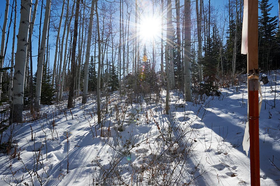 1951 Faraway Road, Snowmass Village, CO 81615 - Photo 13