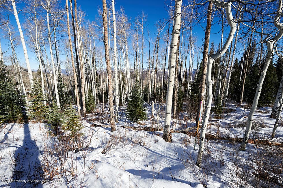 1951 Faraway Road, Snowmass Village, CO 81615 - Photo 18