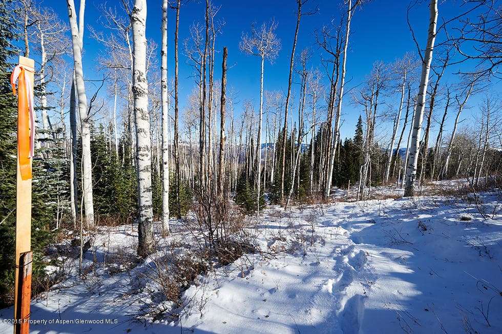 1951 Faraway Road, Snowmass Village, CO 81615 - Photo 19