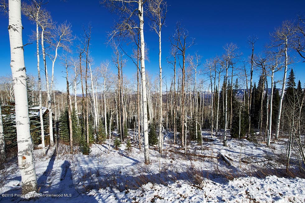 1951 Faraway Road, Snowmass Village, CO 81615 - Photo 20