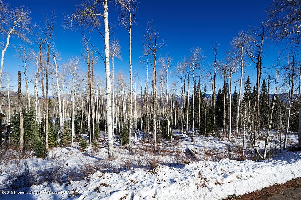 1951 Faraway Road, Snowmass Village, CO 81615 - Photo 21