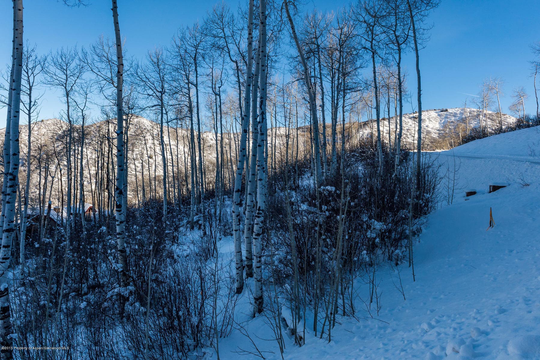 270 Spruce Ridge Lane, Snowmass Village, CO 81615 - Photo 11