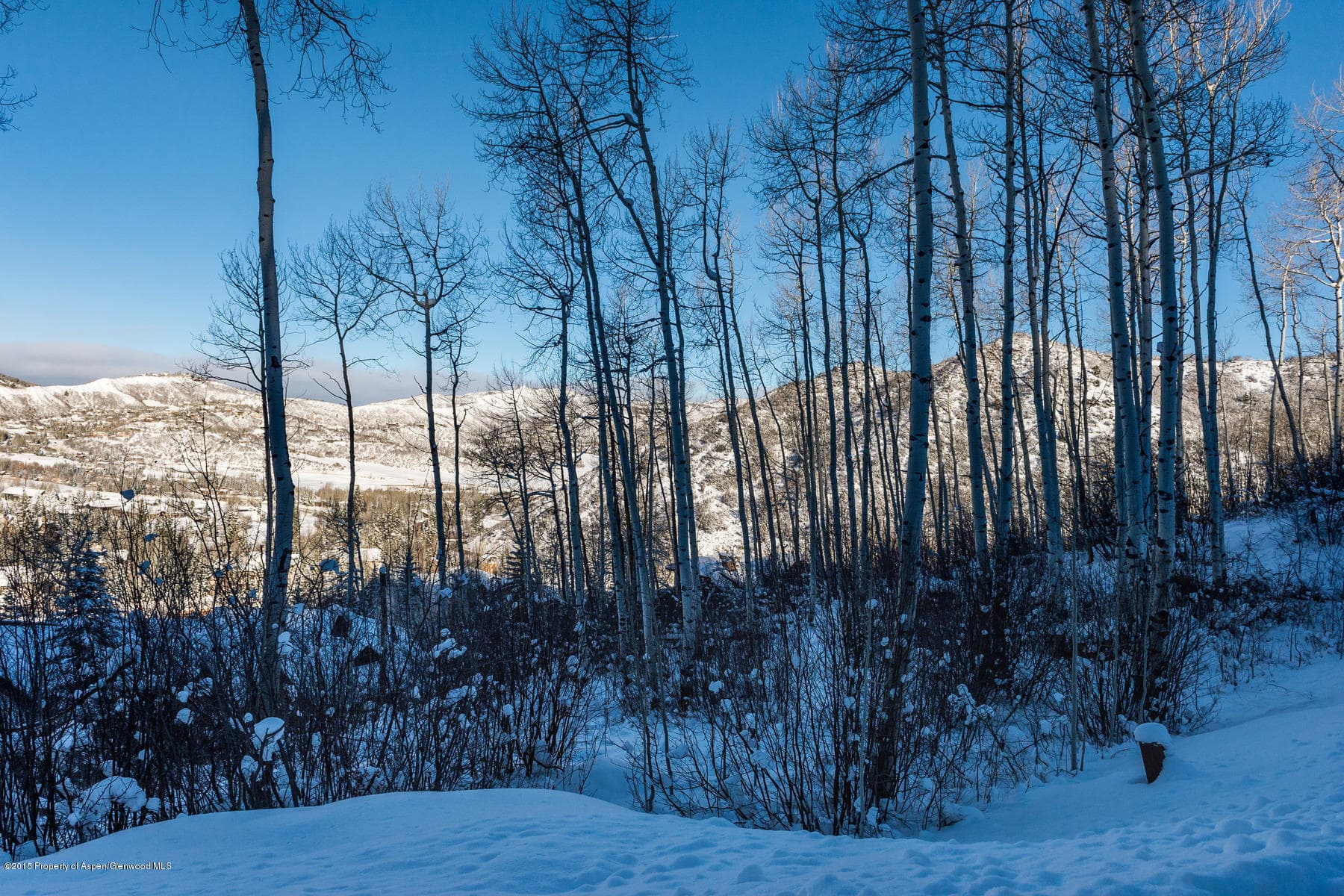 270 Spruce Ridge Lane, Snowmass Village, CO 81615 - Photo 12