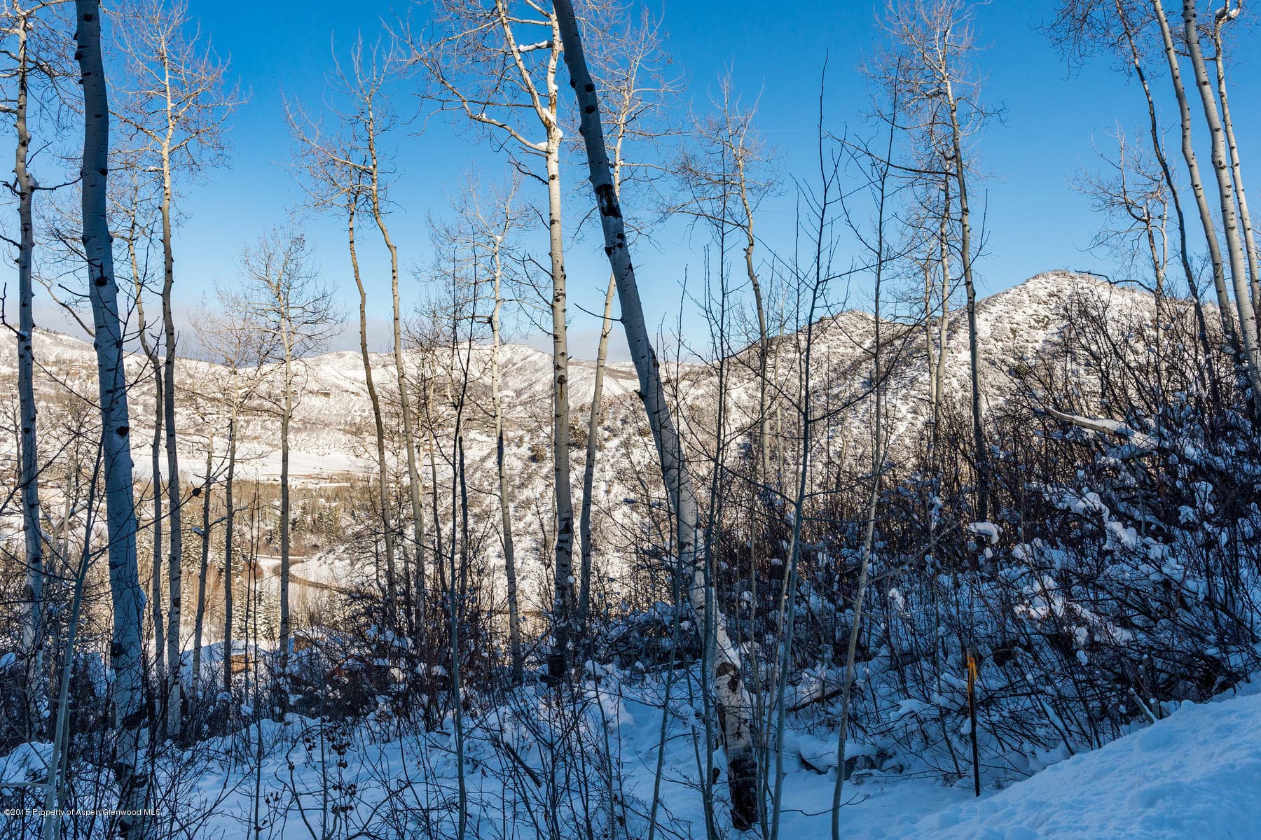 270 Spruce Ridge Lane, Snowmass Village, CO 81615 - Photo 13
