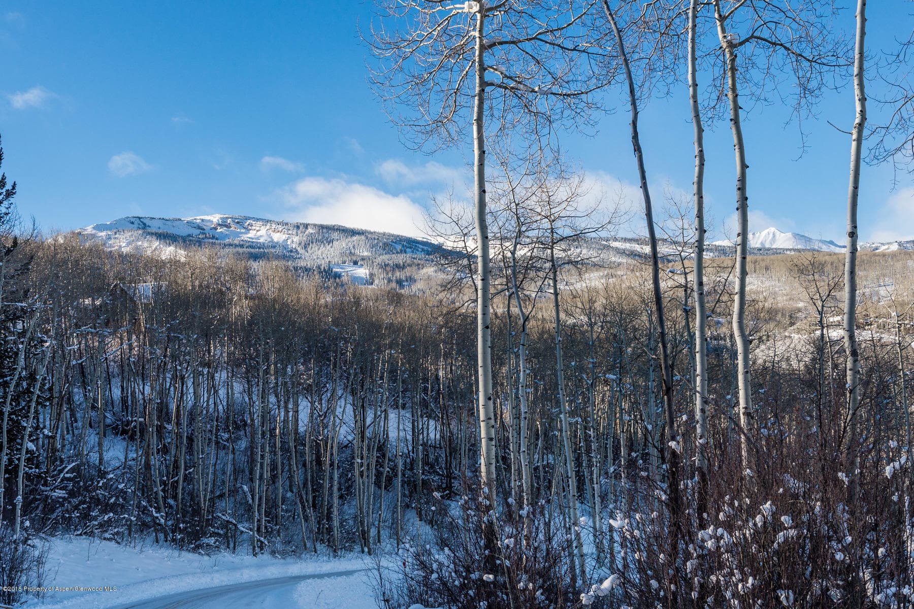 270 Spruce Ridge Lane, Snowmass Village, CO 81615 - Photo 15