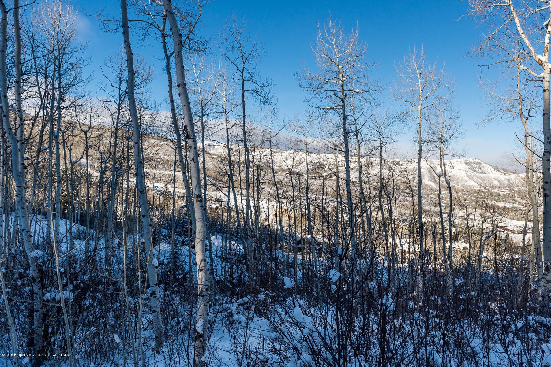 270 Spruce Ridge Lane, Snowmass Village, CO 81615 - Photo 16