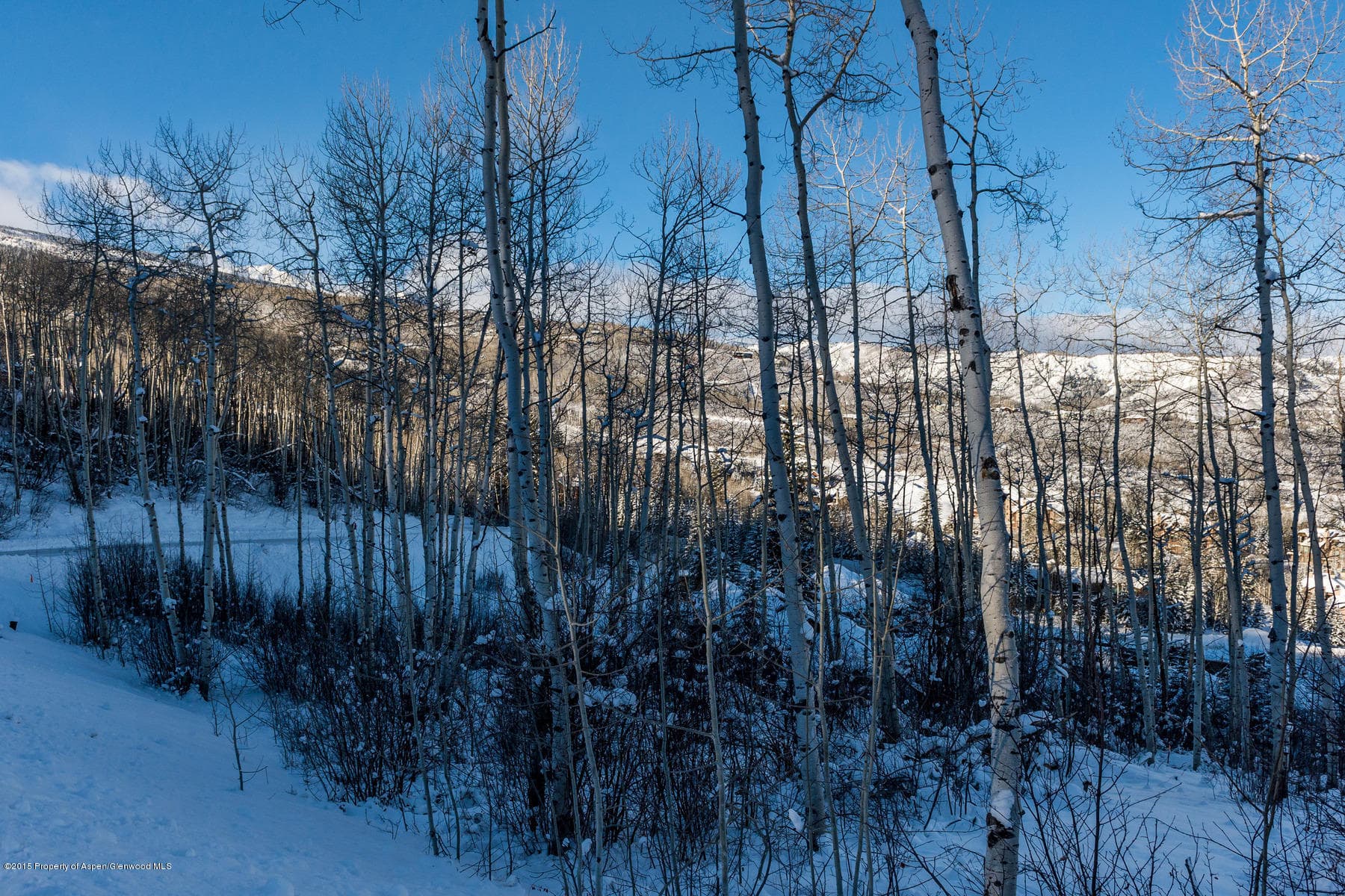 270 Spruce Ridge Lane, Snowmass Village, CO 81615 - Photo 17