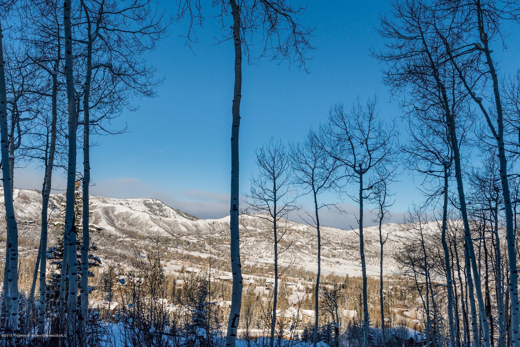 270 Spruce Ridge Lane, Snowmass Village, CO 81615 - Photo 18