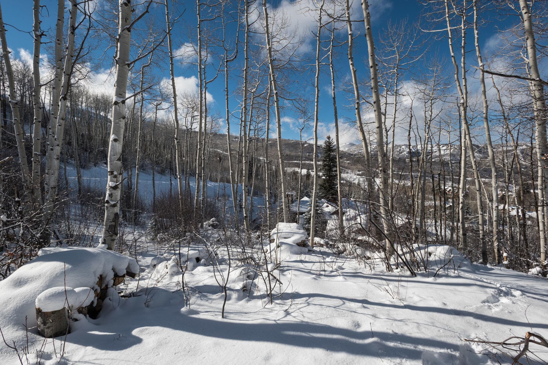 270 Spruce Ridge Lane, Snowmass Village, CO 81615 - Photo 19
