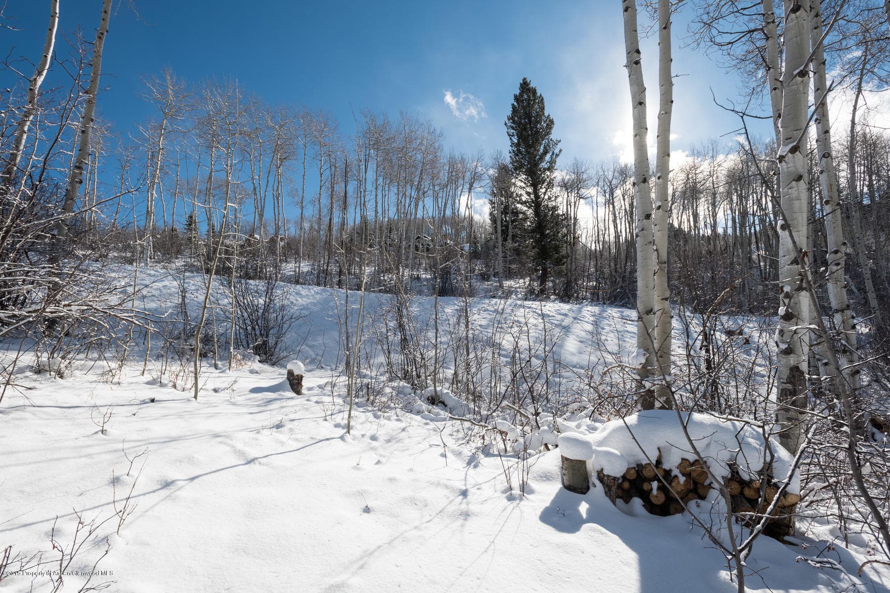 270 Spruce Ridge Lane, Snowmass Village, CO 81615 - Photo 23