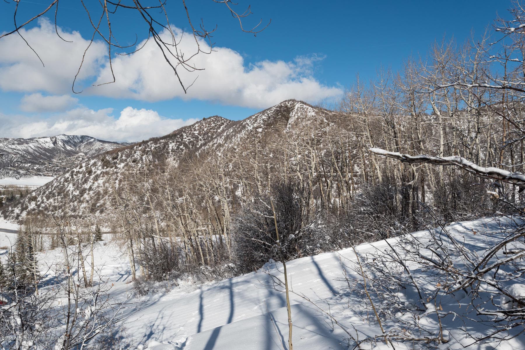270 Spruce Ridge Lane, Snowmass Village, CO 81615 - Photo 24