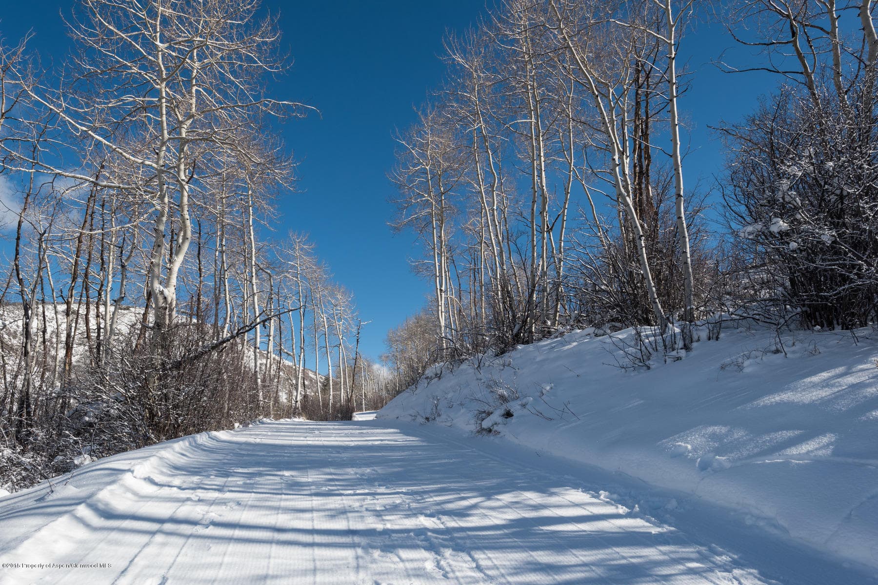 270 Spruce Ridge Lane, Snowmass Village, CO 81615 - Photo 25