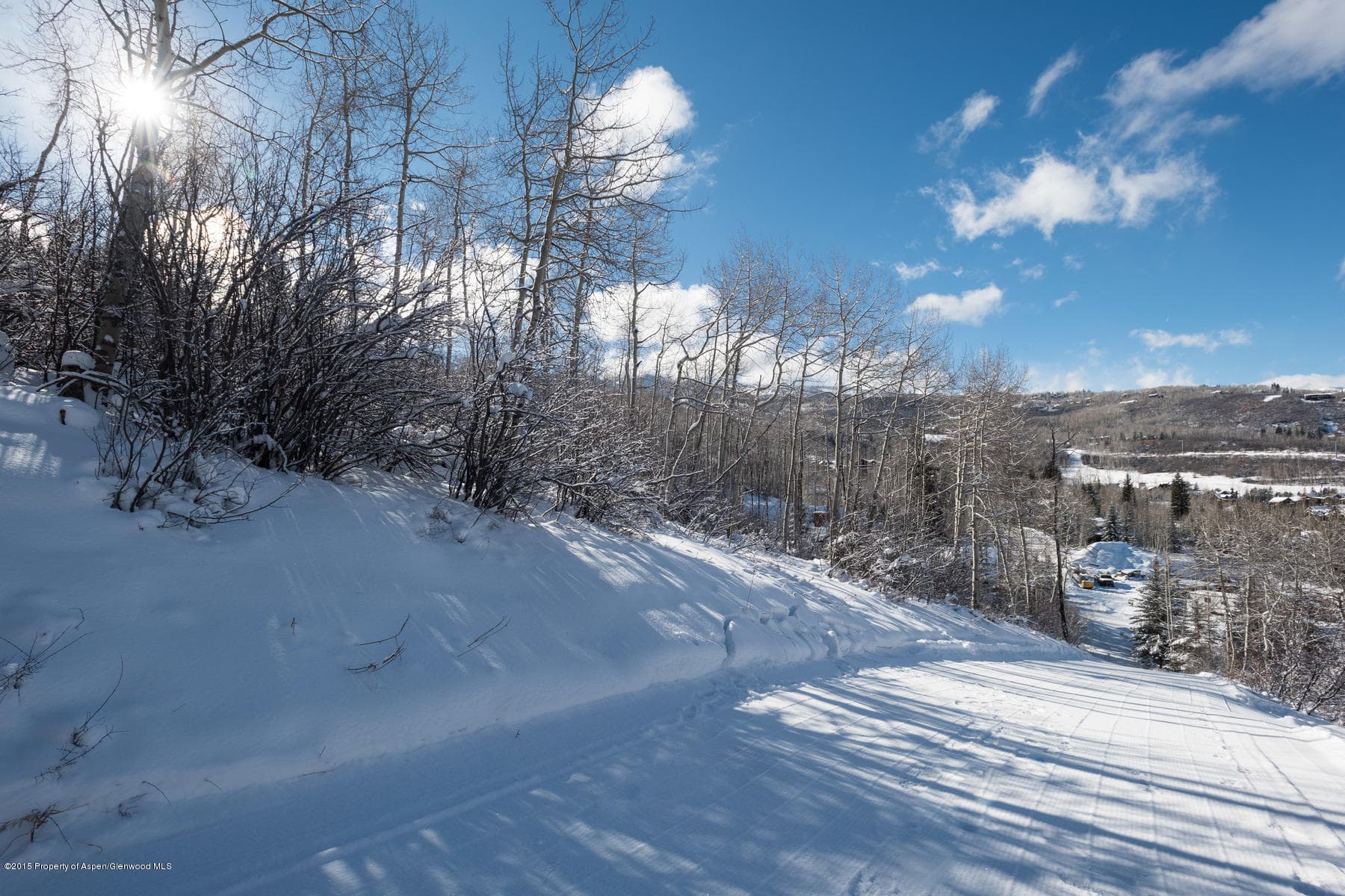 270 Spruce Ridge Lane, Snowmass Village, CO 81615 - Photo 26