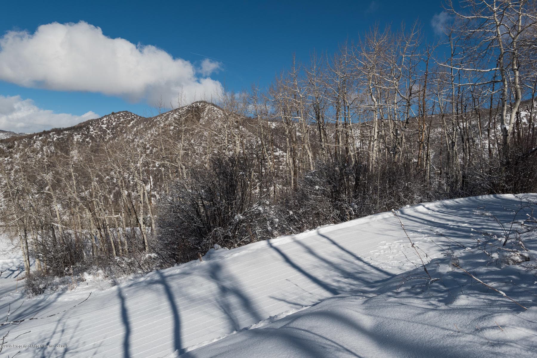 270 Spruce Ridge Lane, Snowmass Village, CO 81615 - Photo 28