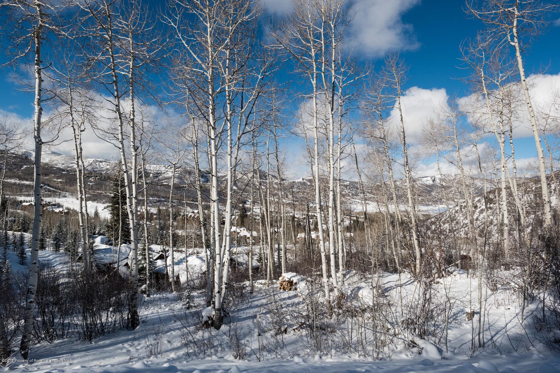 270 Spruce Ridge Lane, Snowmass Village, CO 81615 - Photo 30