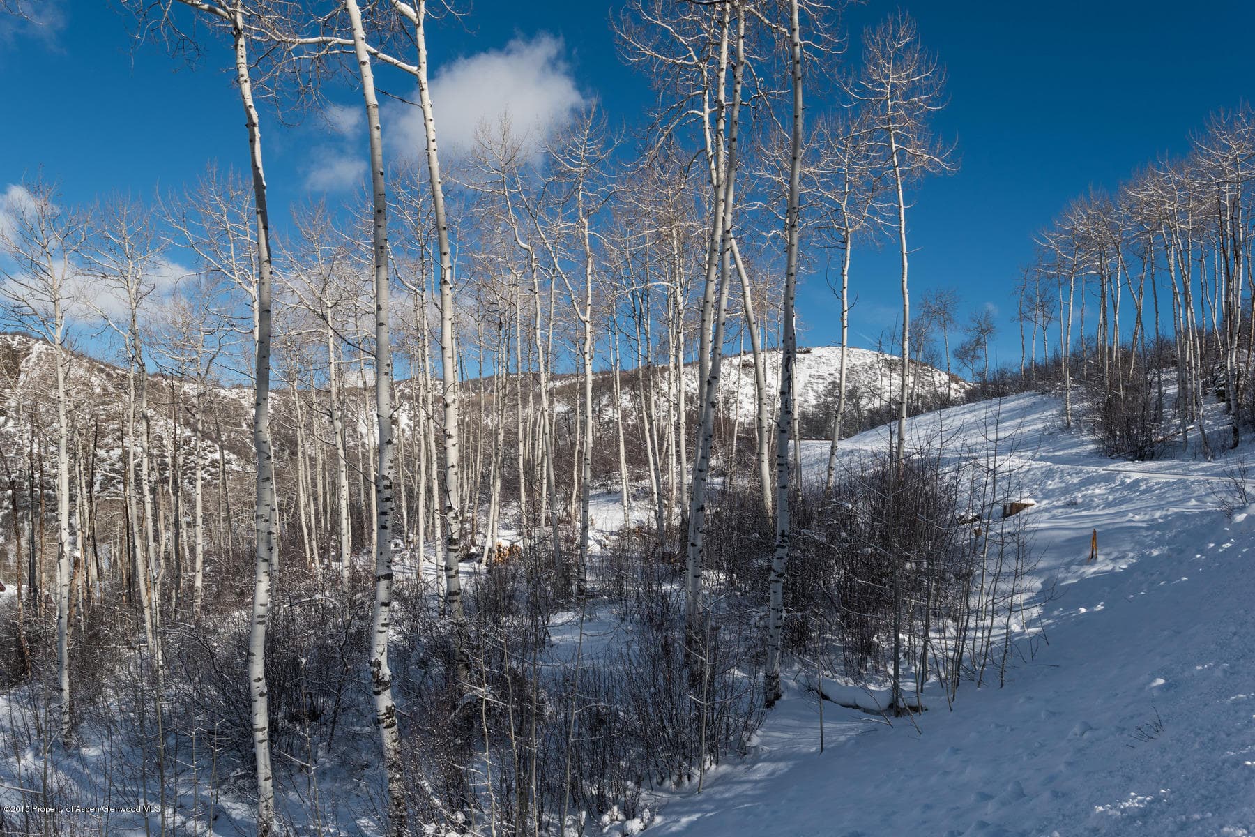 270 Spruce Ridge Lane, Snowmass Village, CO 81615 - Photo 31