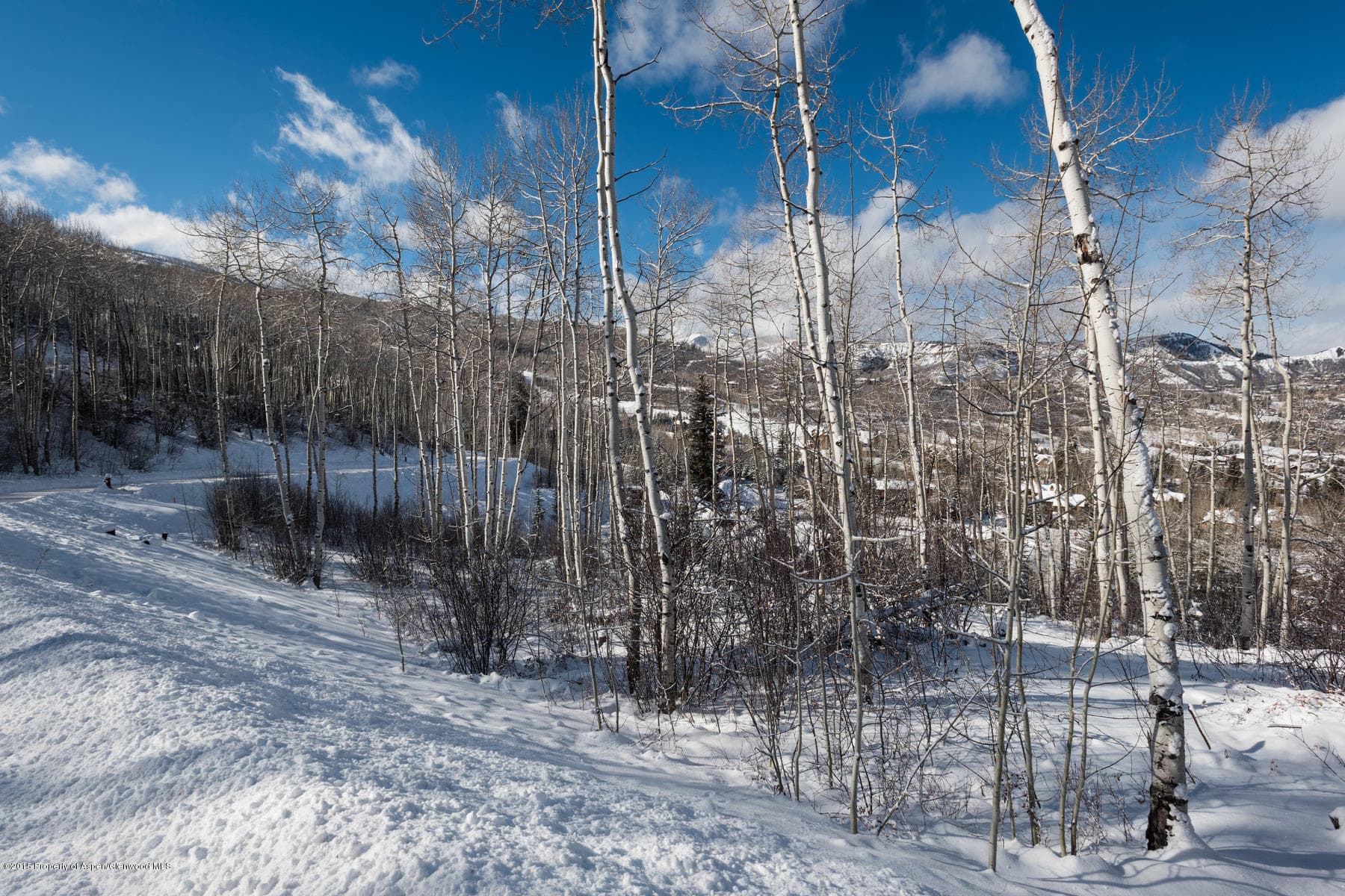 270 Spruce Ridge Lane, Snowmass Village, CO 81615 - Photo 33