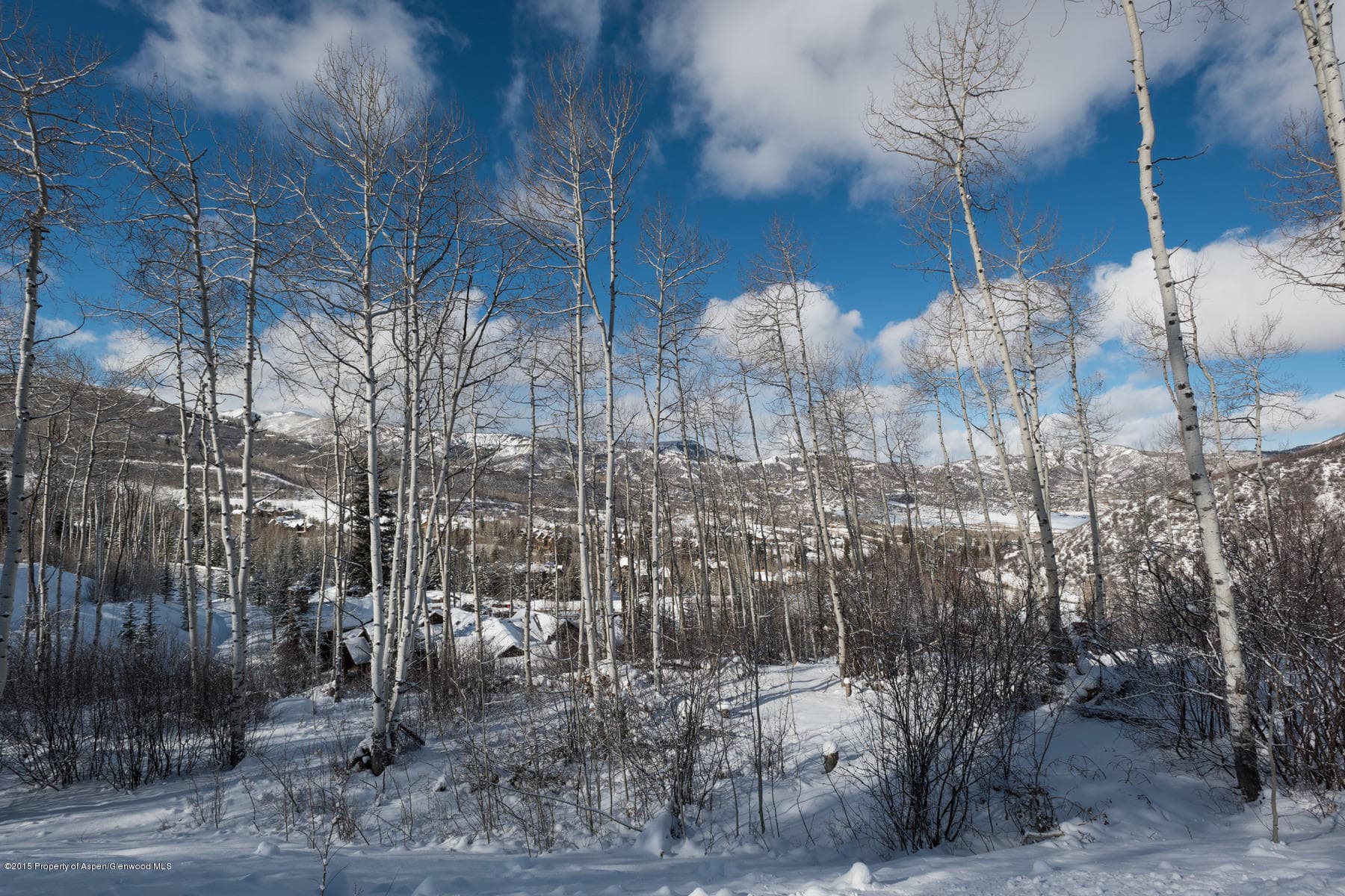 270 Spruce Ridge Lane, Snowmass Village, CO 81615 - Photo 34