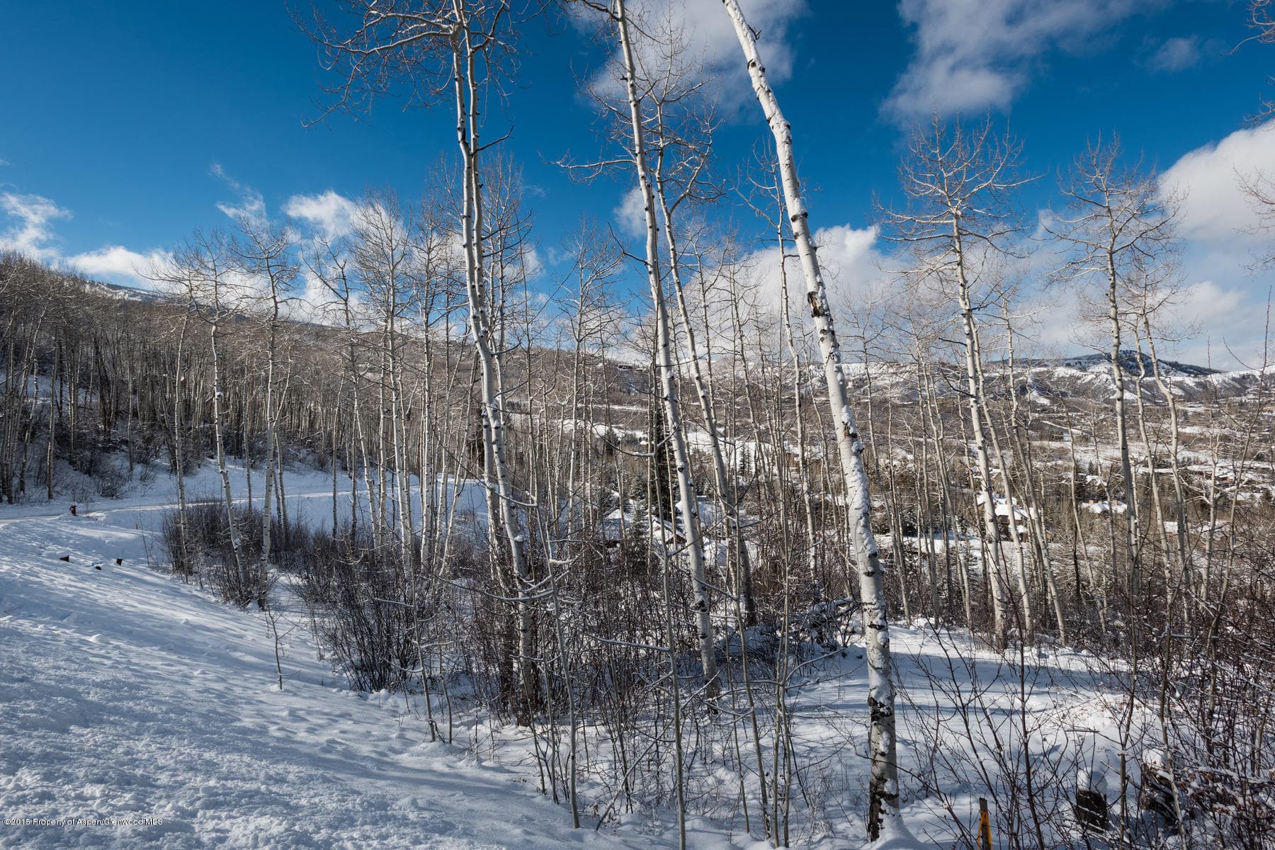 270 Spruce Ridge Lane, Snowmass Village, CO 81615 - Photo 35
