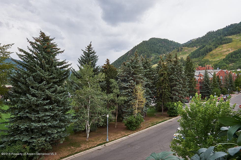 405 S Monarch Street #302, Aspen, CO 81611 - Photo 11