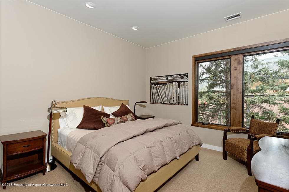 405 S Monarch Street #302, Aspen, CO 81611 - Photo 18