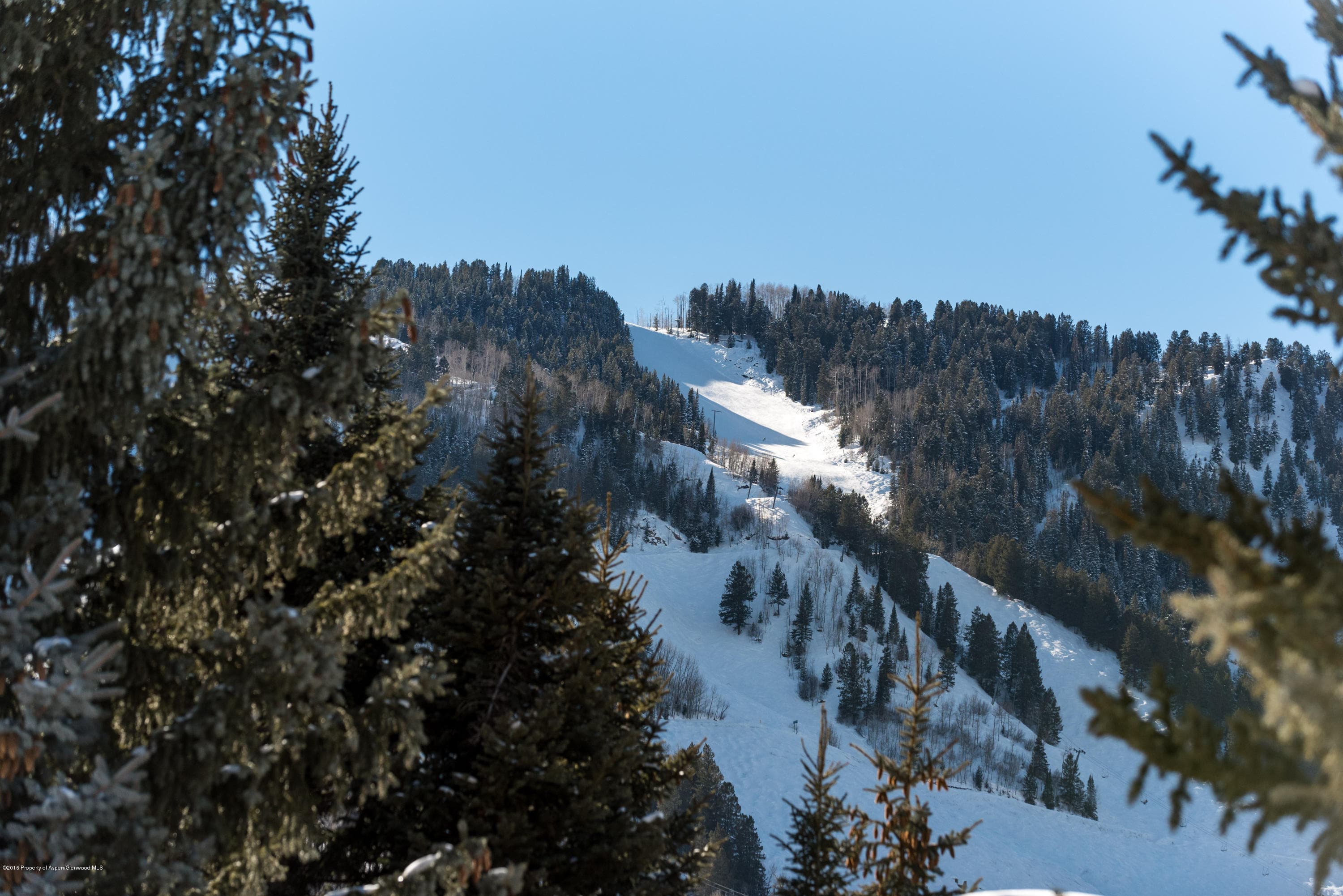 1016 E Hyman Avenue #2, Aspen, CO 81611 - Photo 22