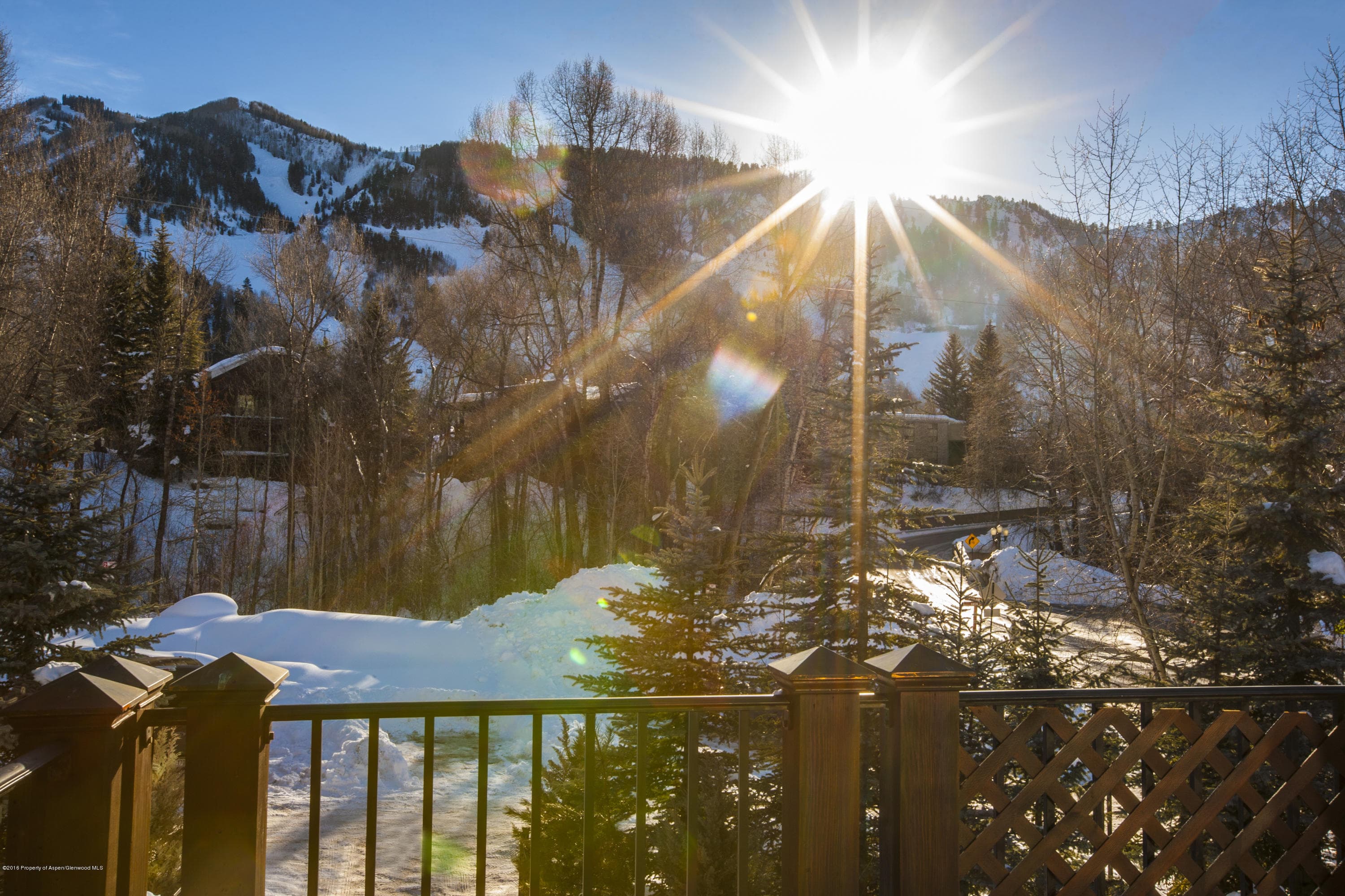 17 Queen Street, Aspen, CO 81611 - Photo 12