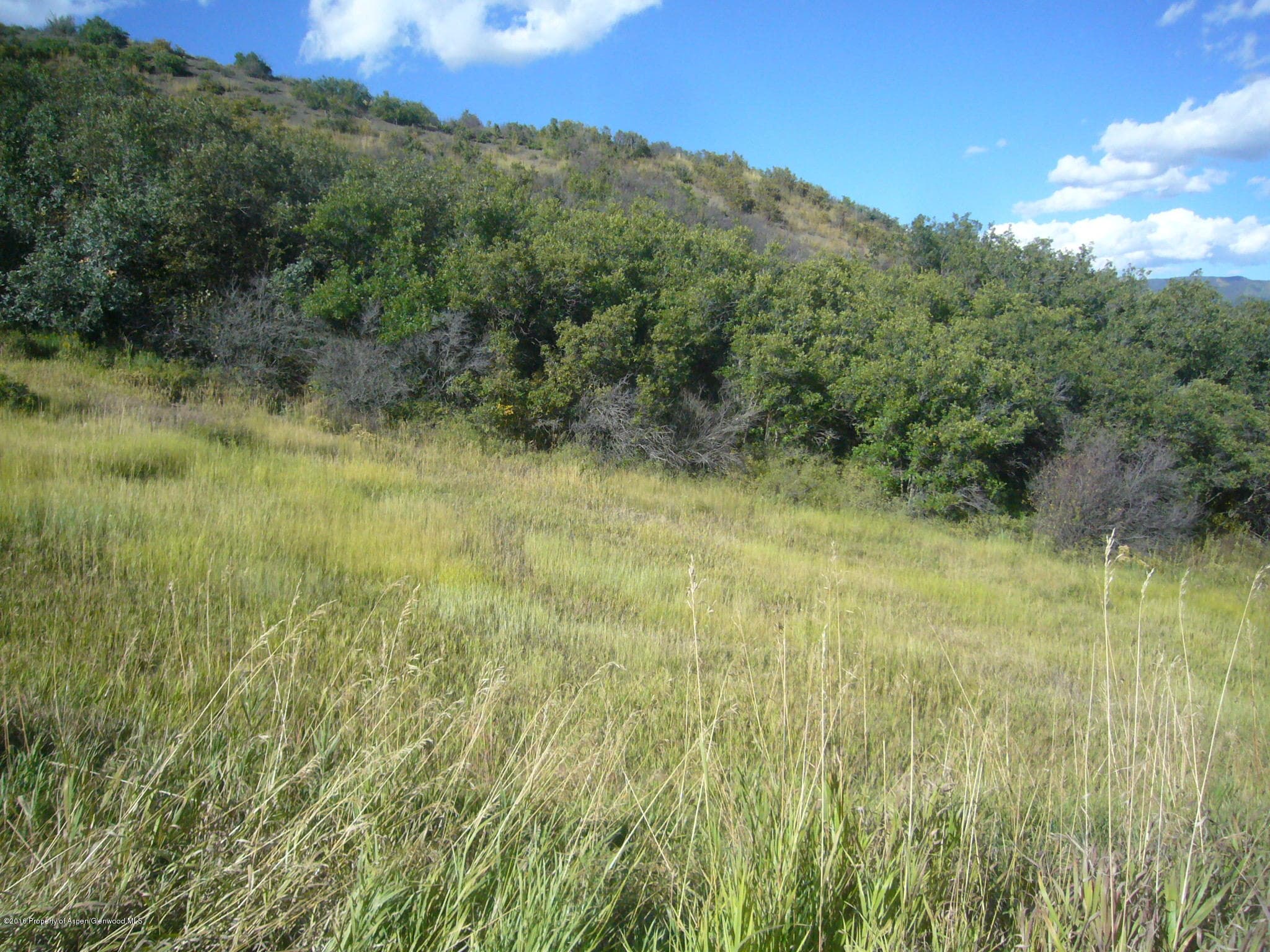 355 Terrace Drive - Photo 8