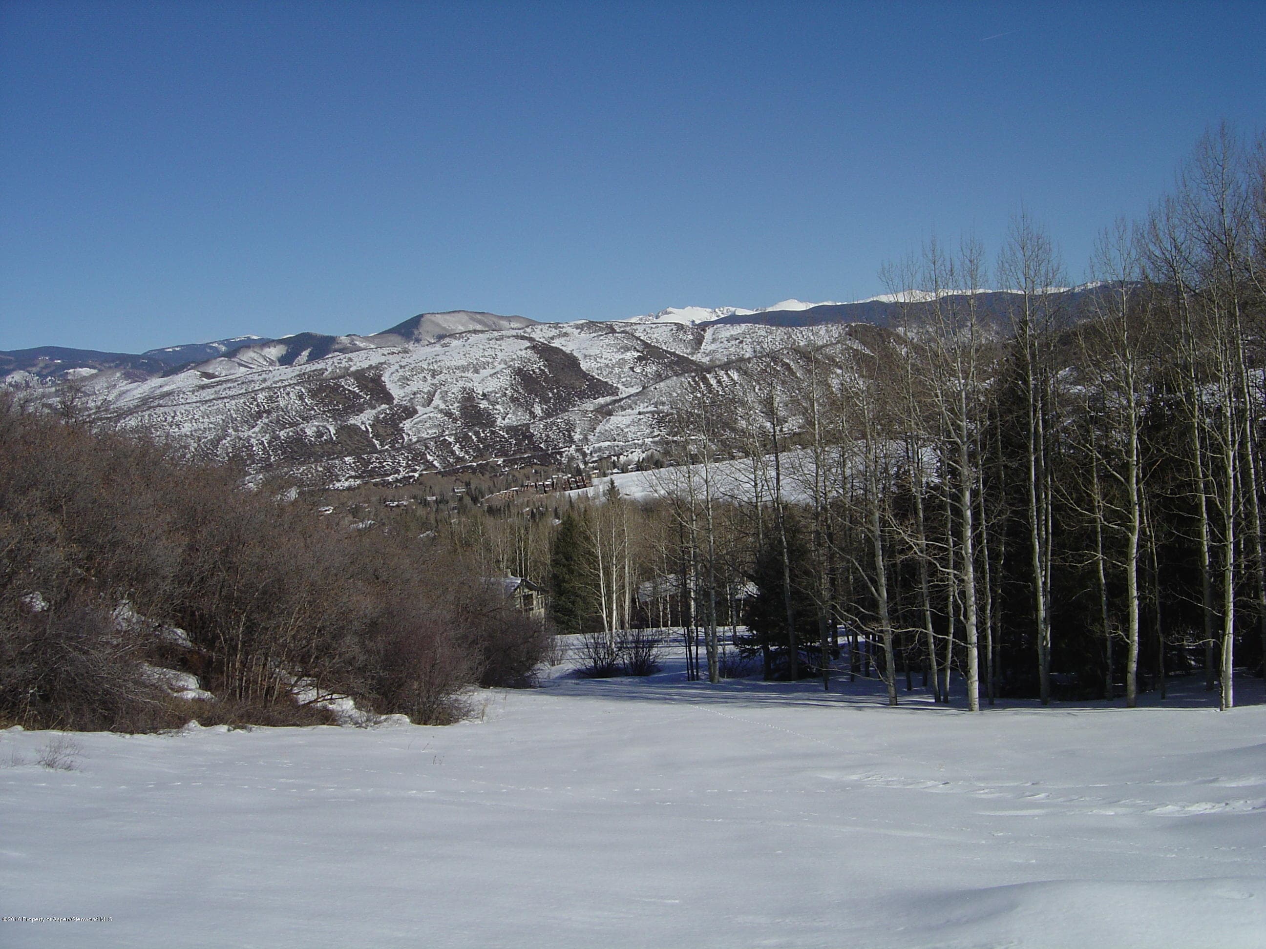 355 Terrace Drive - Photo 4