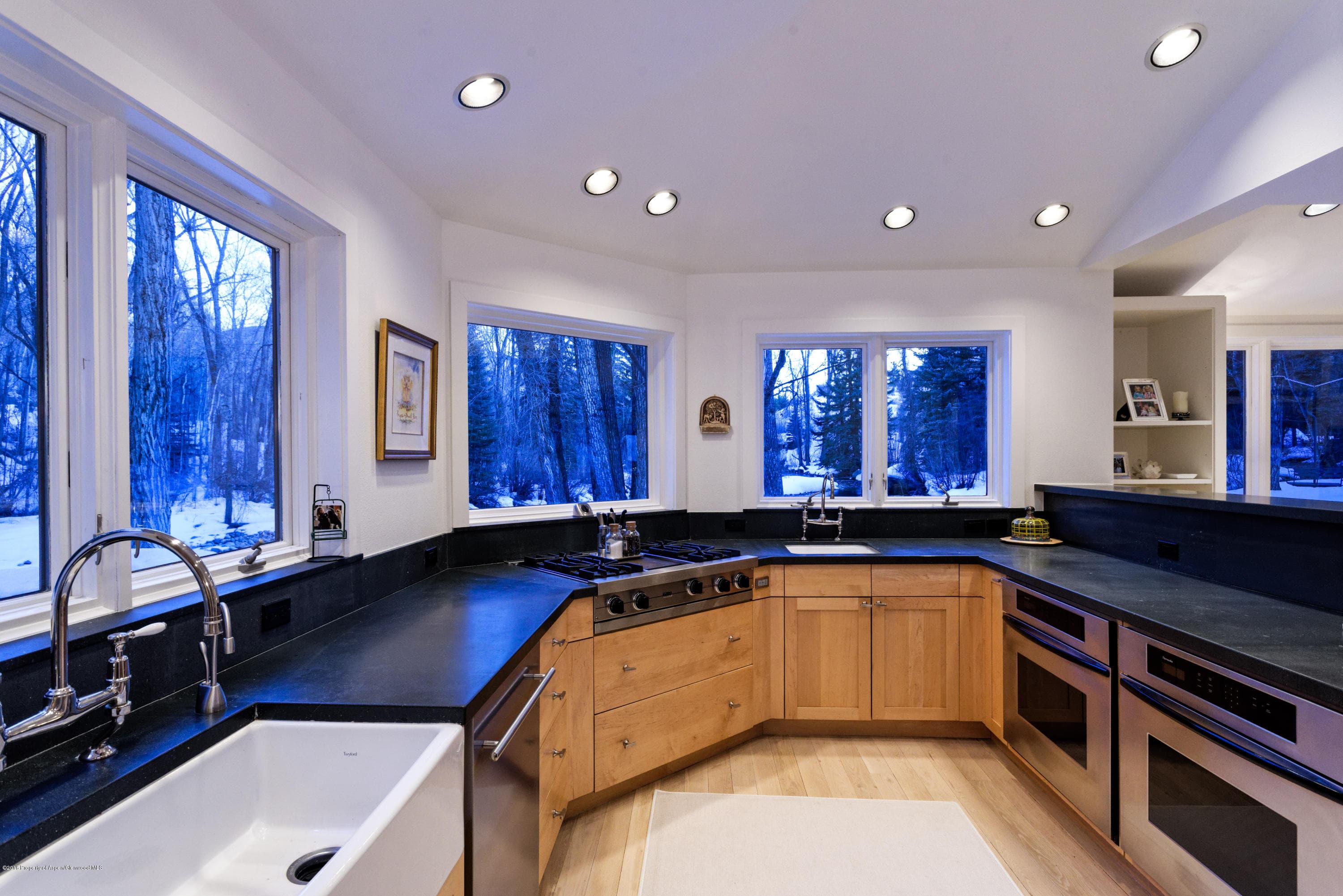 1130 Black Birch Drive - Photo 10