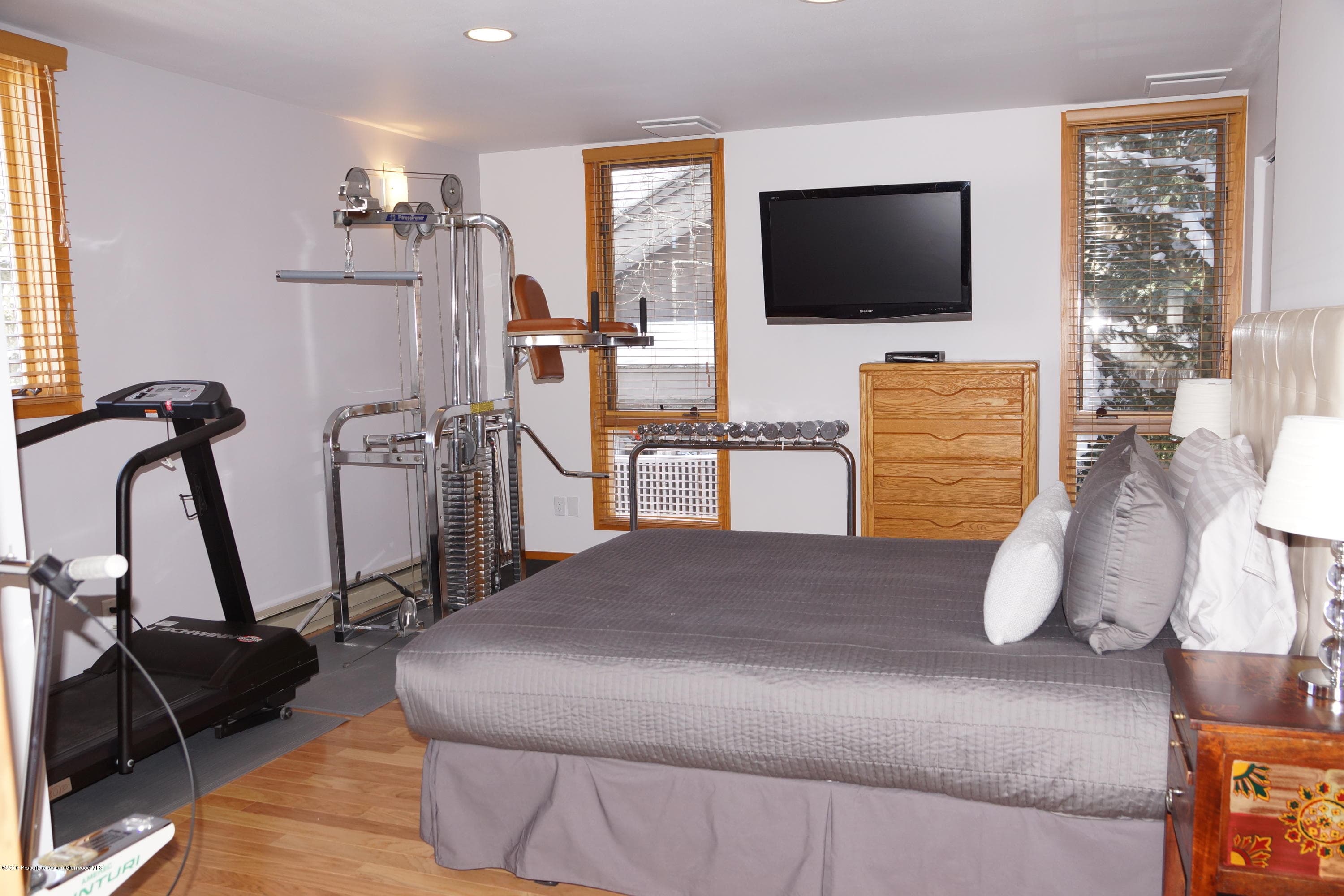 120 E Hyman Avenue, Aspen, CO 81611 - Photo 13
