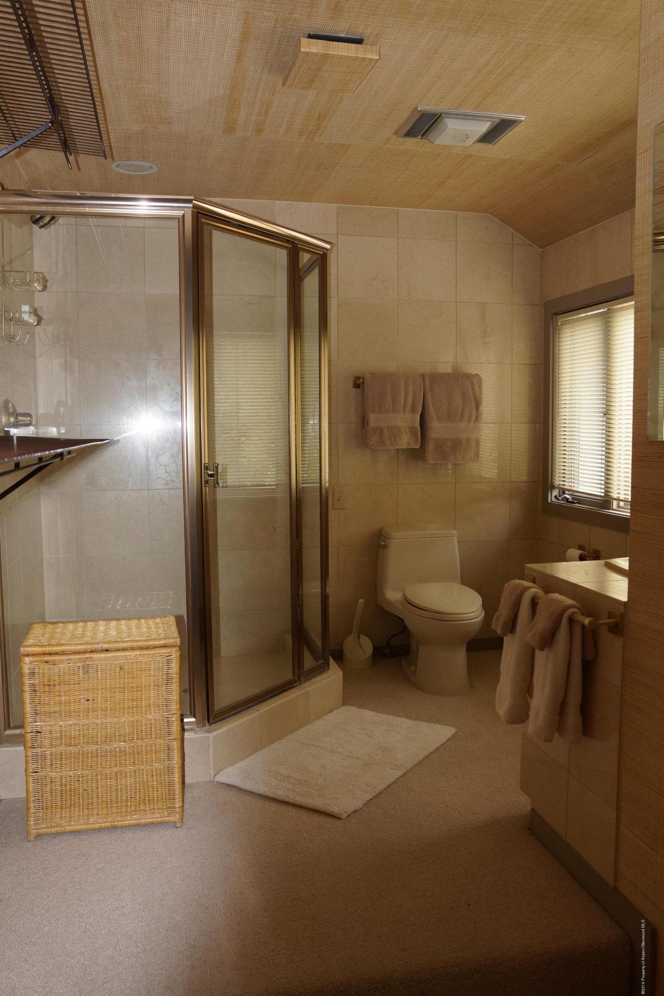 120 E Hyman Avenue, Aspen, CO 81611 - Photo 15